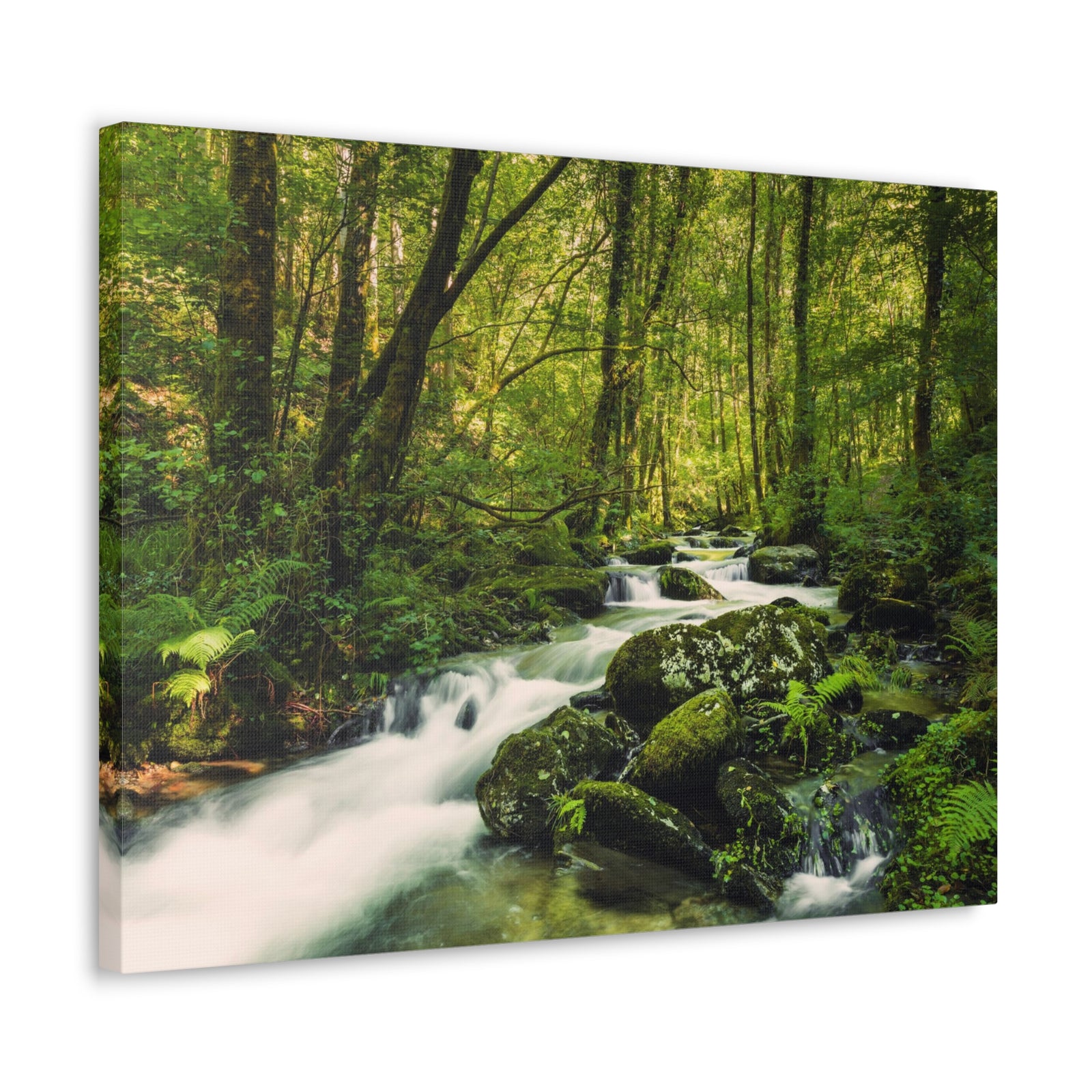 Green Forest River Nature Wilderness Photography Canvas Wall Art for Home Decor Ready-to-Hang-Express Your Love Gifts
