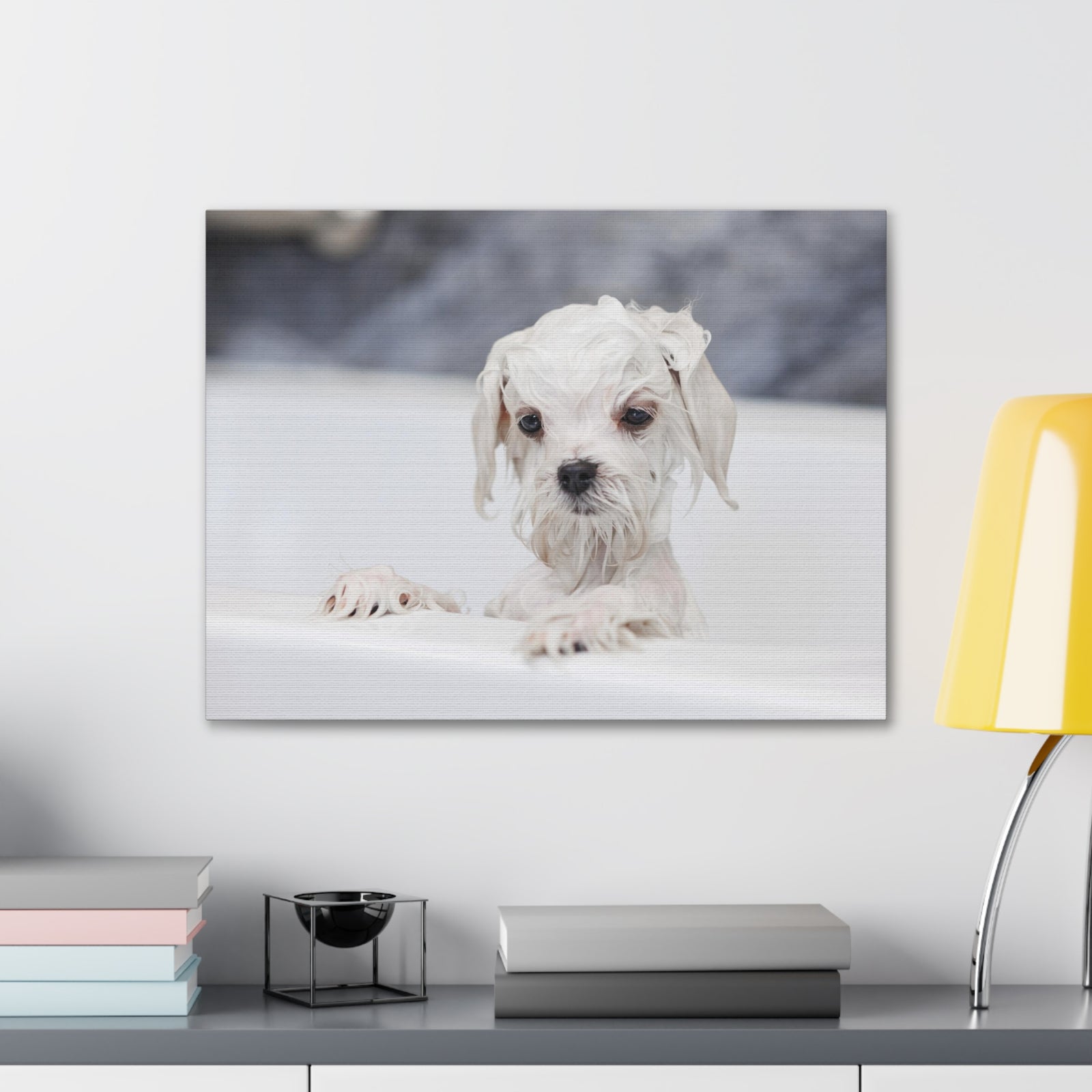 Cute White Maltese Bath Canvas Wall Art for Home Decor Ready-to-Hang-Express Your Love Gifts