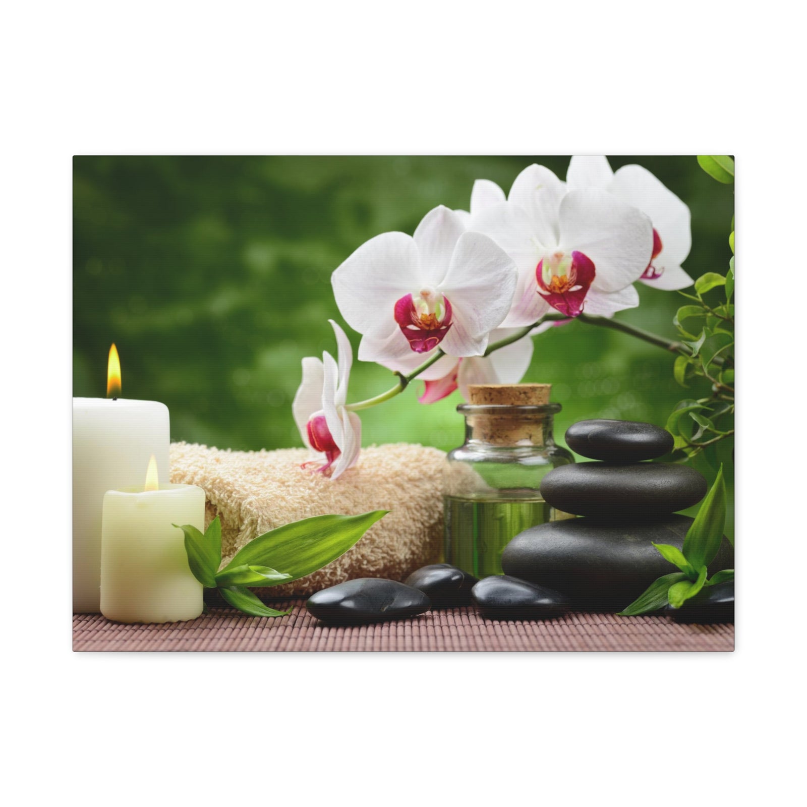 Orchid Flower and Stone Forest Floral Nature Photography Canvas Wall Art for Home Decor Ready-to-Hang-Express Your Love Gifts