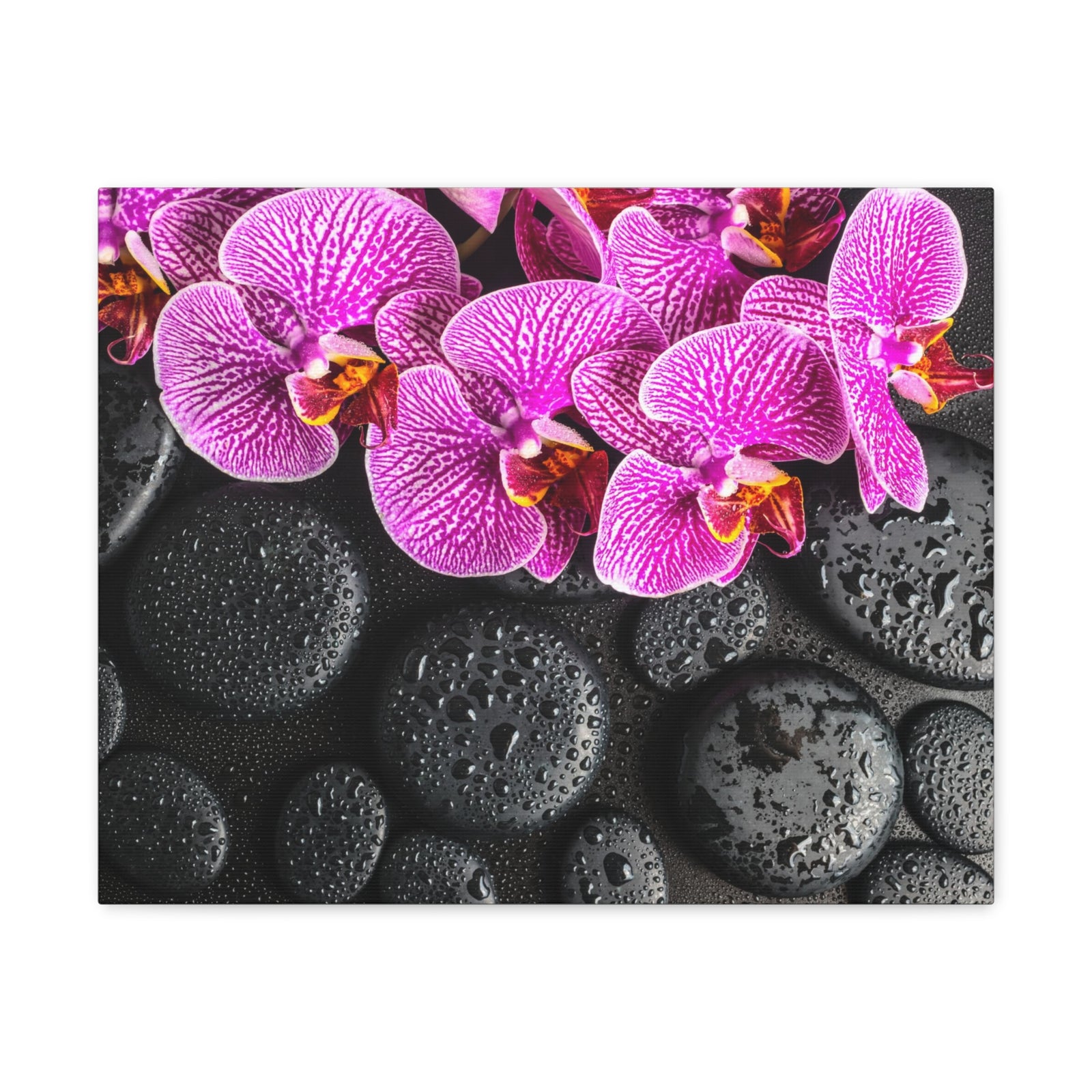 Violet Orchid on Stones Forest Floral Nature Photography Canvas Wall Art for Home Decor Ready-to-Hang-Express Your Love Gifts
