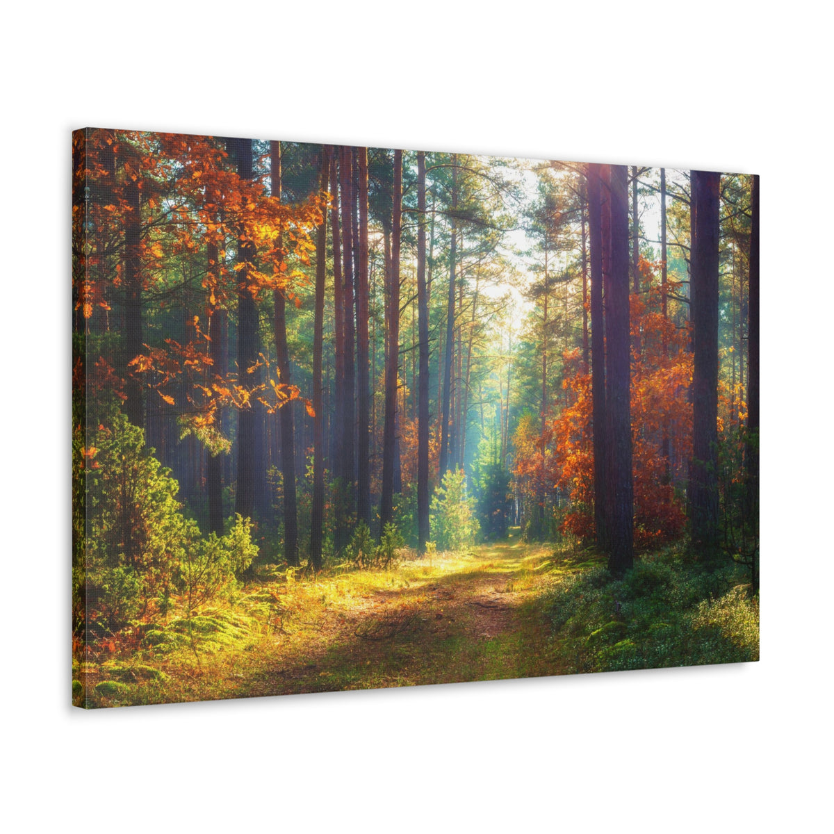Autumn Forest Sunlight Shine Orange Tree Nature Wilderness Photography Canvas Wall Art for Home Decor Ready-to-Hang-Express Your Love Gifts