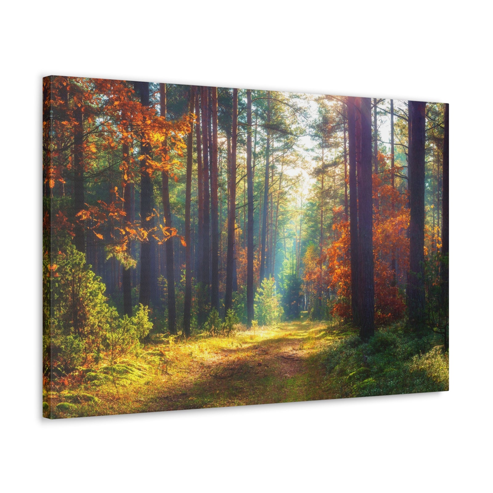Autumn Forest Sunlight Shine Orange Tree Nature Wilderness Photography Canvas Wall Art for Home Decor Ready-to-Hang-Express Your Love Gifts