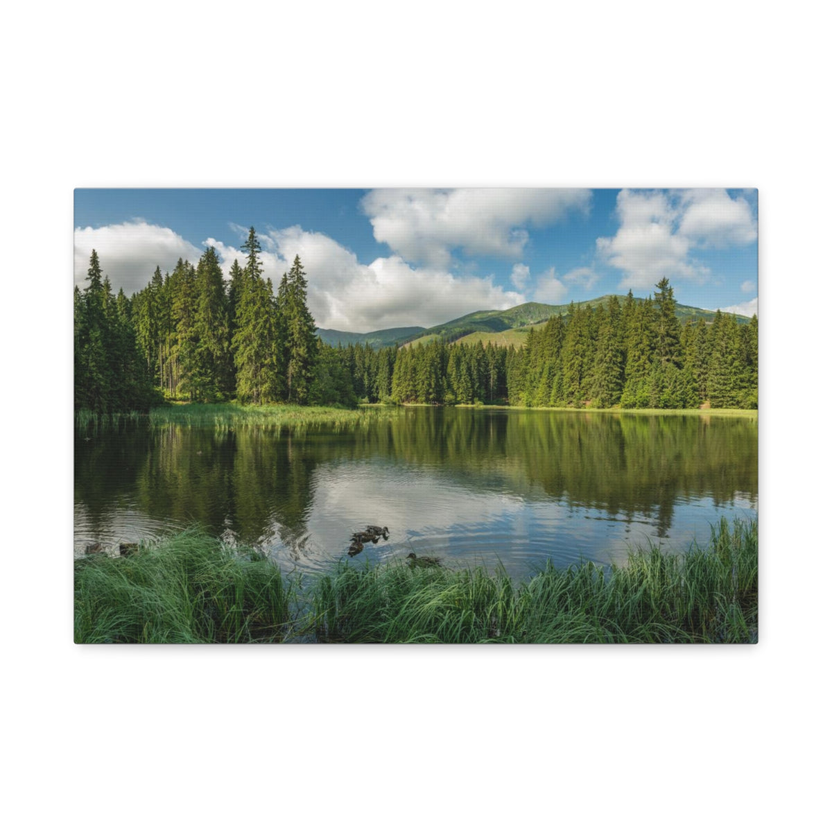 Lake Reflection Green Forest Nature Wilderness Photography Canvas Wall Art for Home Decor Ready-to-Hang-Express Your Love Gifts