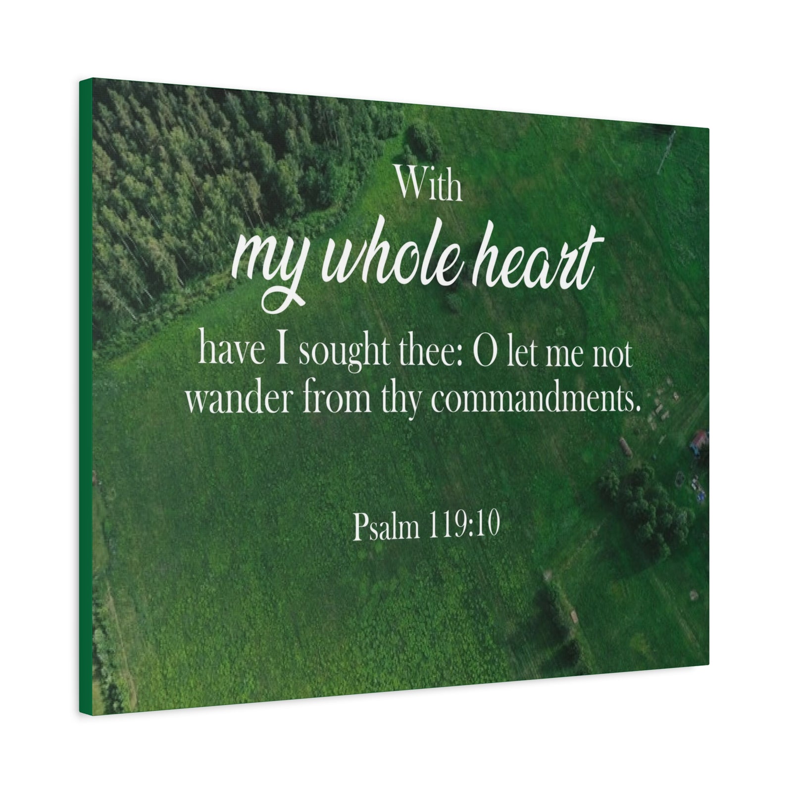Scripture Walls Psalm 119:10 Whole Heart Bible Verse Canvas Christian Wall Art Ready to Hang Unframed-Express Your Love Gifts