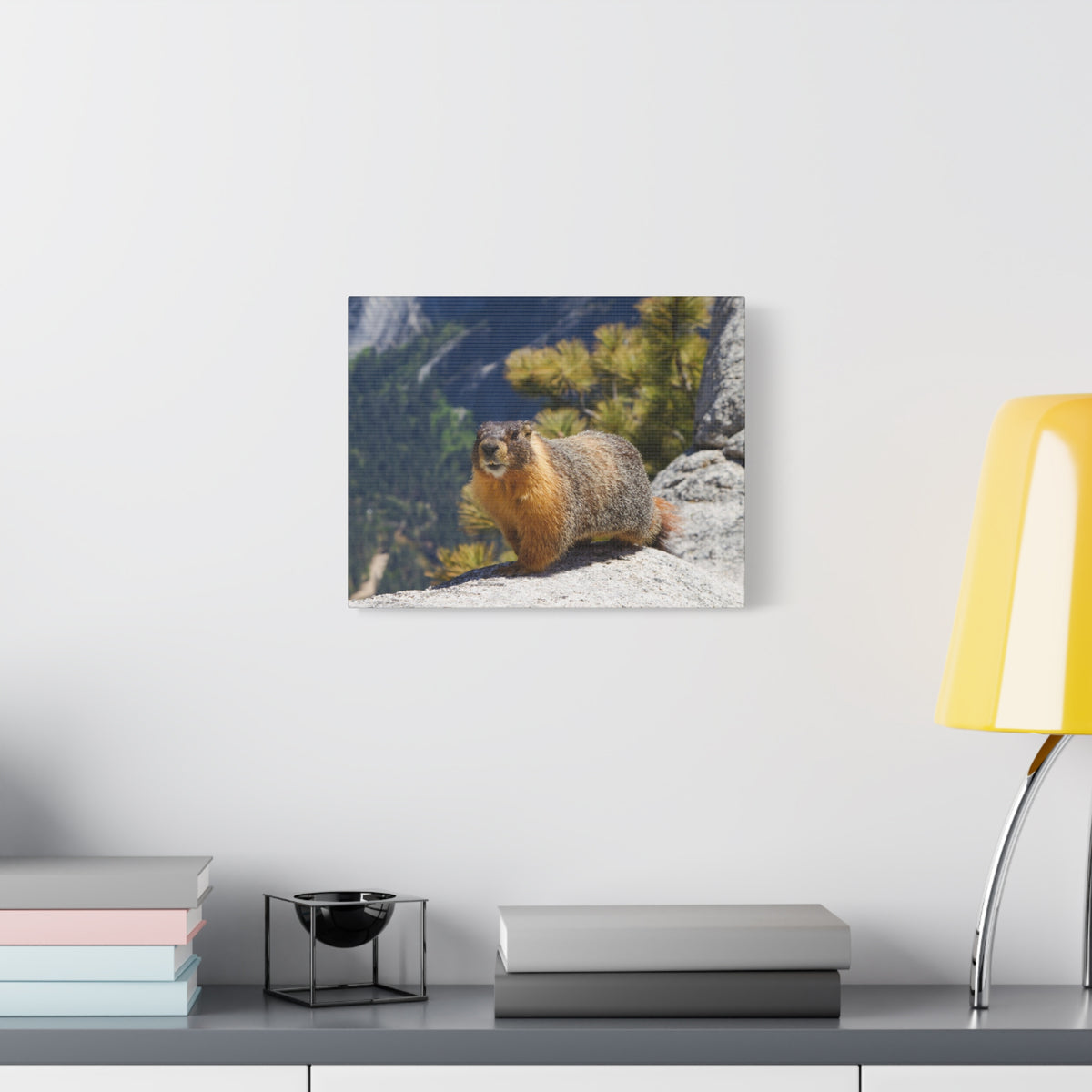 Majestic Yellow Bellied Marmot Art Majestic Yellow Bellied Marmot Print Animal Wall Art Wildlife Canvas Prints Wall Art Ready to Hang-Express Your Love Gifts
