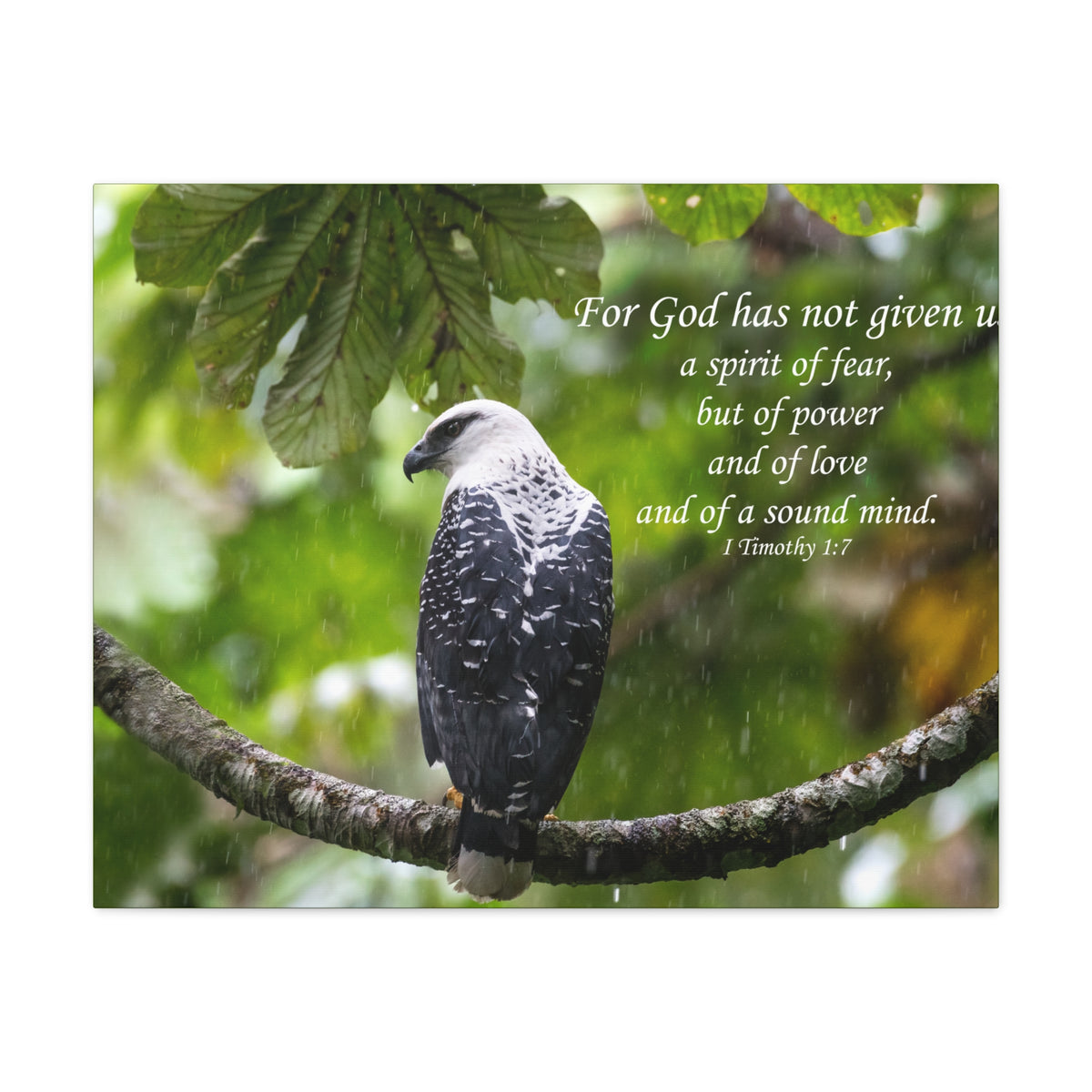Scripture Canvas A Sound Mind 1 Timothy 1:7 Christian Wall Art Bible Verse Print Ready to Hang-Express Your Love Gifts