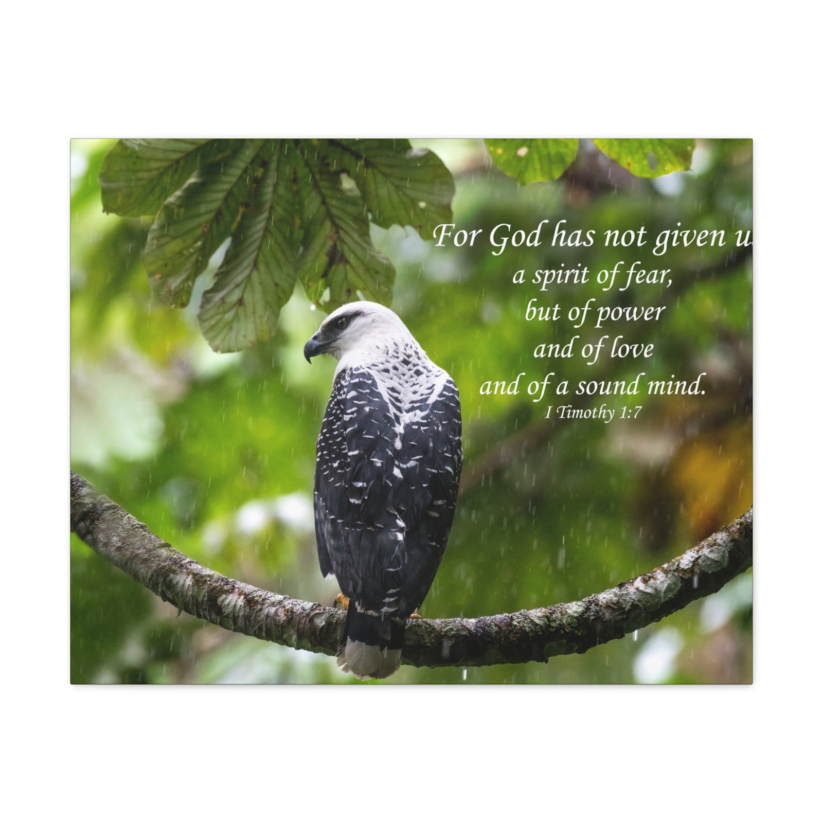 Scripture Canvas A Sound Mind 1 Timothy 1:7 Christian Wall Art Bible Verse Print Ready to Hang-Express Your Love Gifts