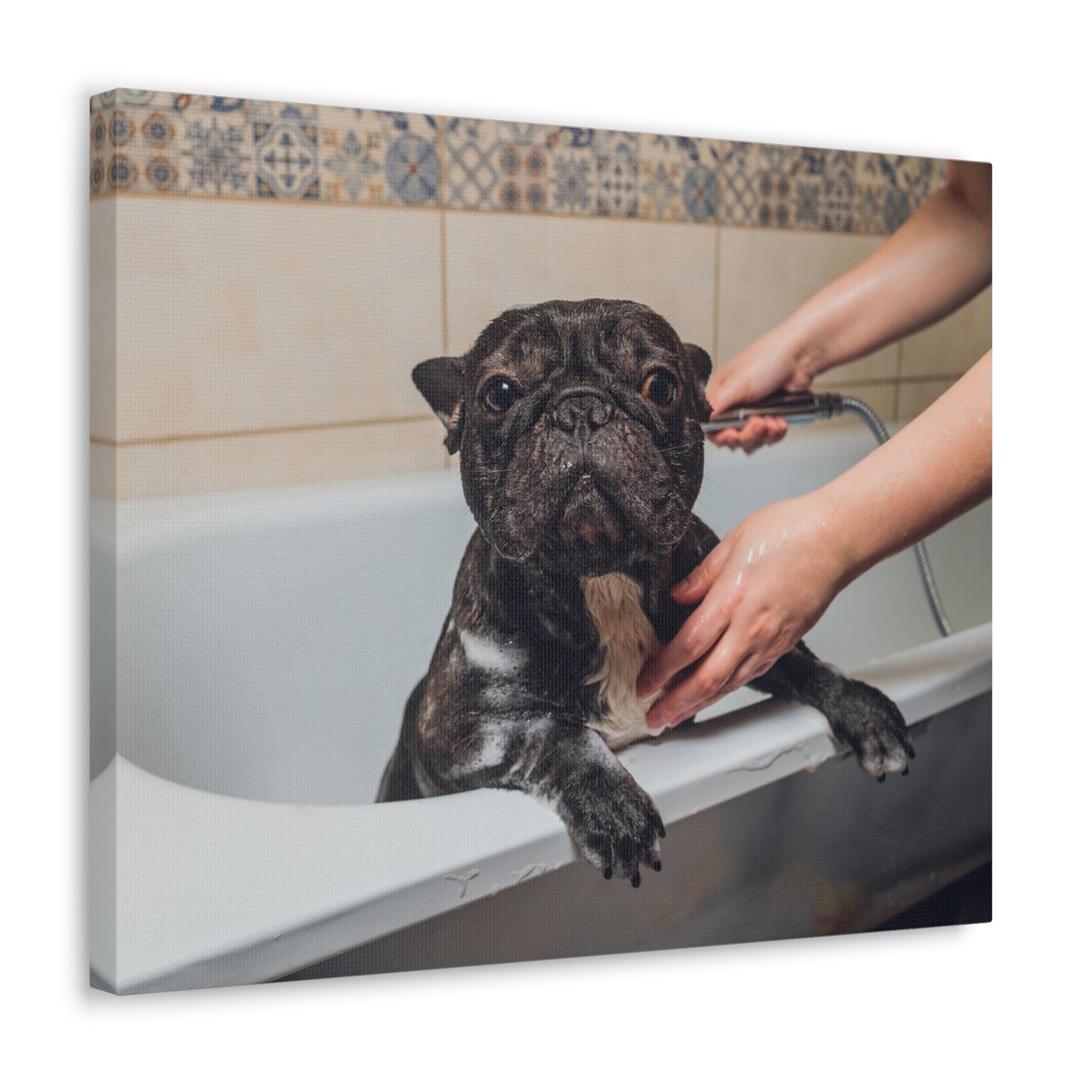 Cute French Bulldog Bath Canvas Wall Art for Home Decor Ready-to-Hang-Express Your Love Gifts