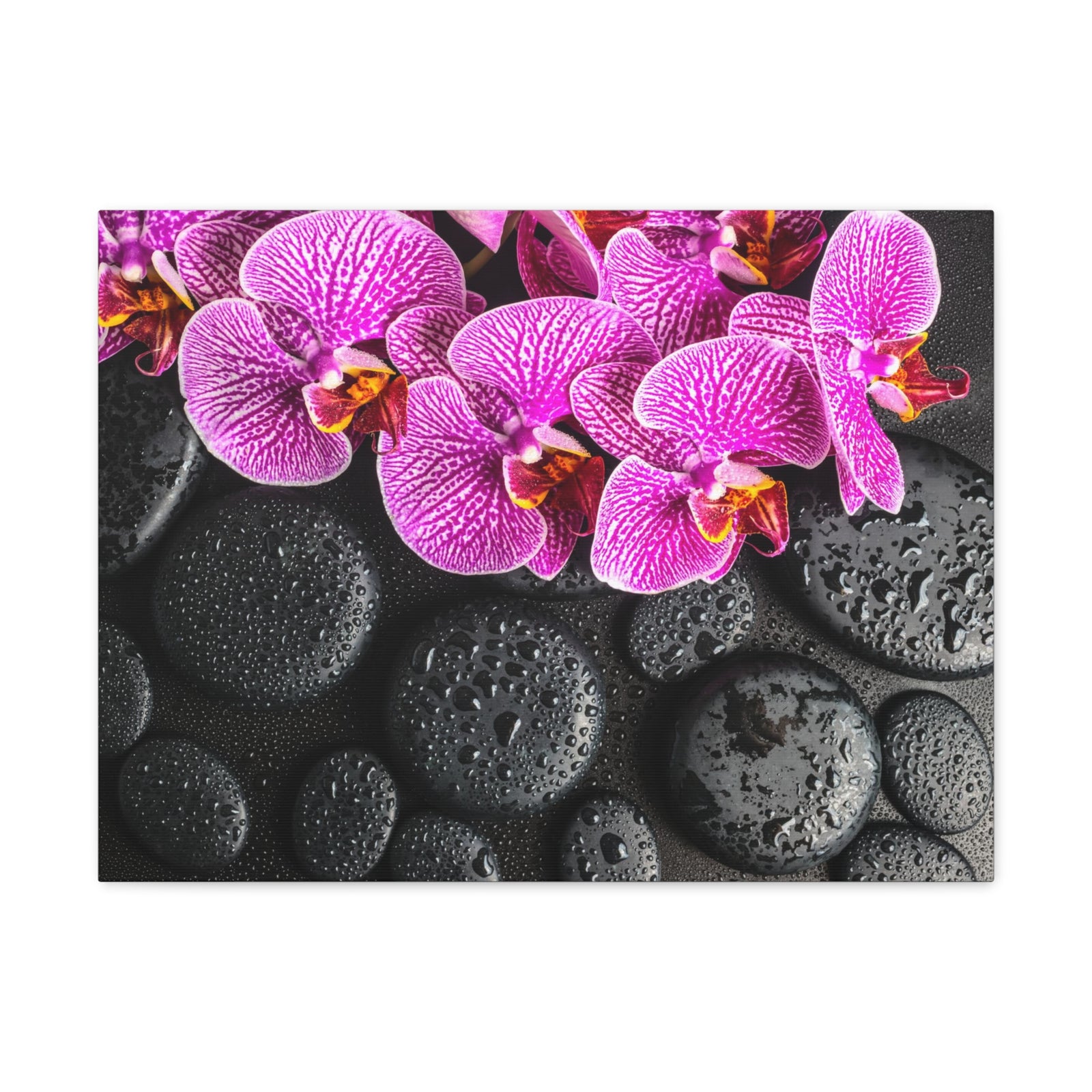 Violet Orchid on Stones Forest Floral Nature Photography Canvas Wall Art for Home Decor Ready-to-Hang-Express Your Love Gifts