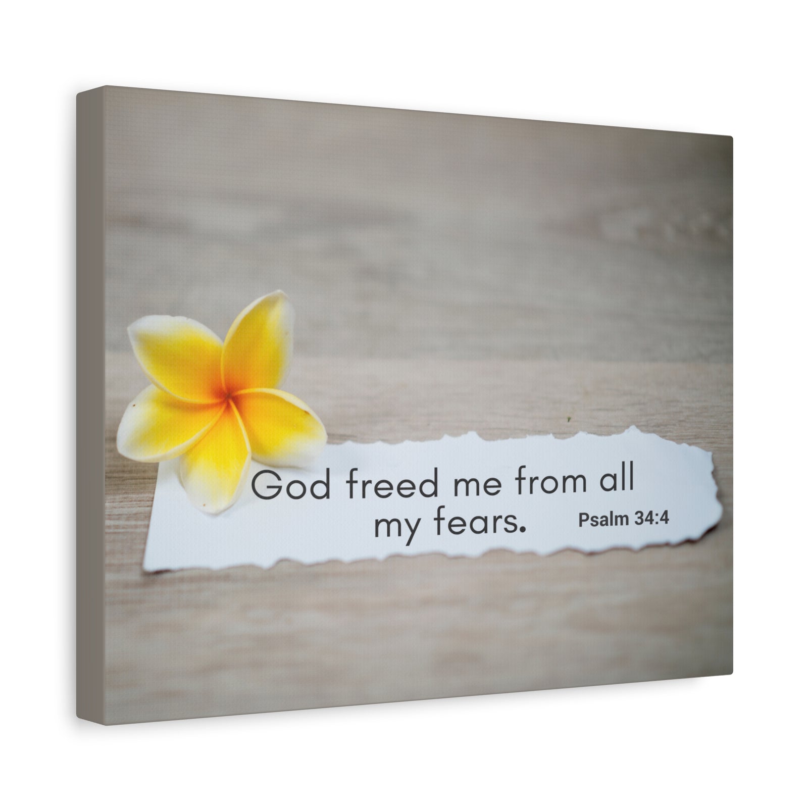 Scripture Walls God Freed Me Psalm 34:4 Bible Verse Canvas Christian Wall Art Ready to Hang-Express Your Love Gifts