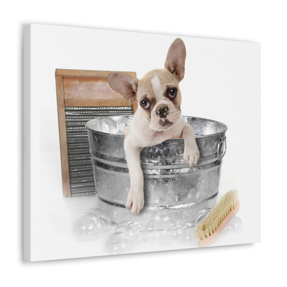 Cute French Bulldog Bath Canvas Wall Art for Home Decor Ready-to-Hang-Express Your Love Gifts