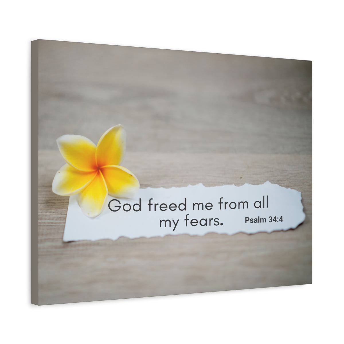 Scripture Walls God Freed Me Psalm 34:4 Bible Verse Canvas Christian Wall Art Ready to Hang-Express Your Love Gifts