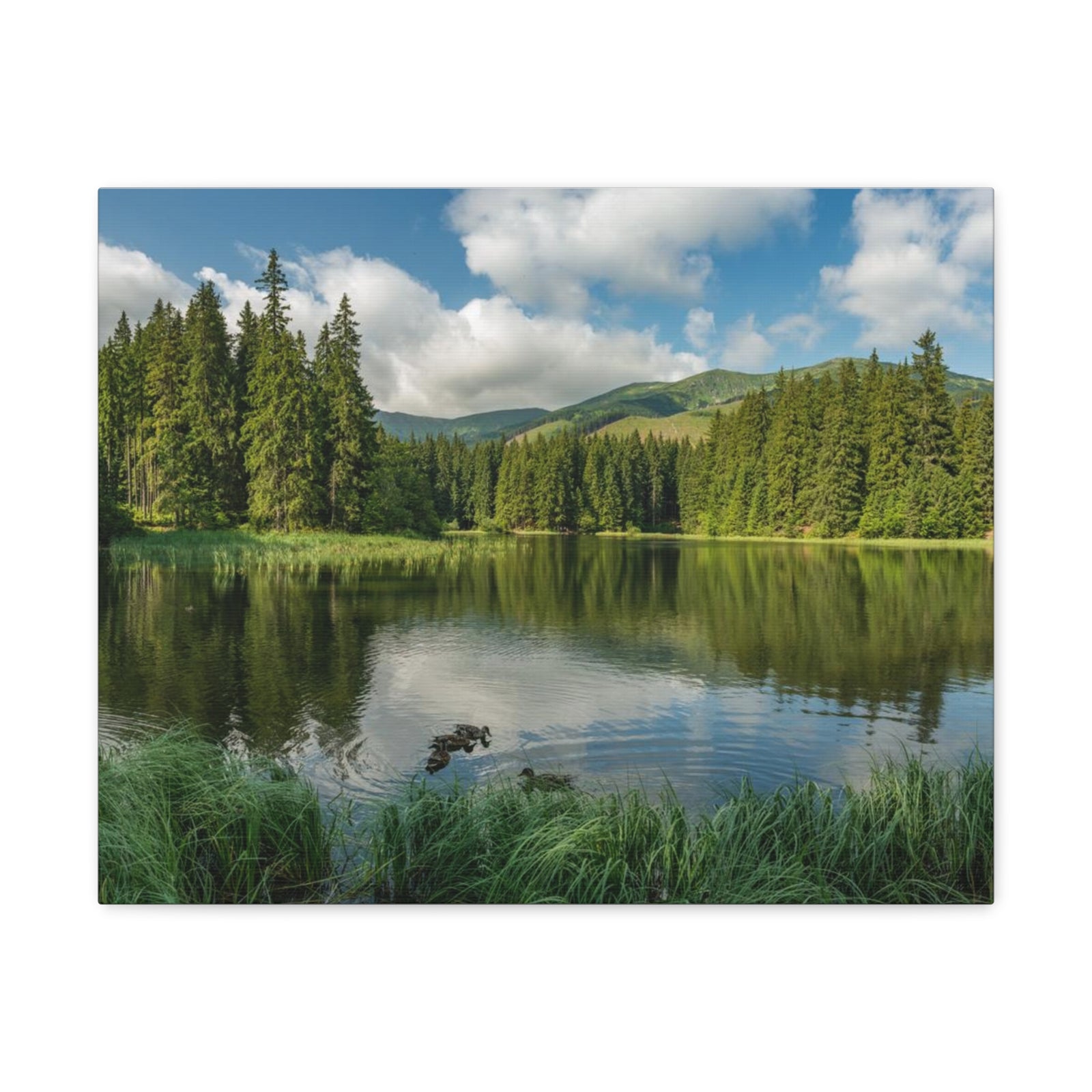 Lake Reflection Green Forest Nature Wilderness Photography Canvas Wall Art for Home Decor Ready-to-Hang-Express Your Love Gifts