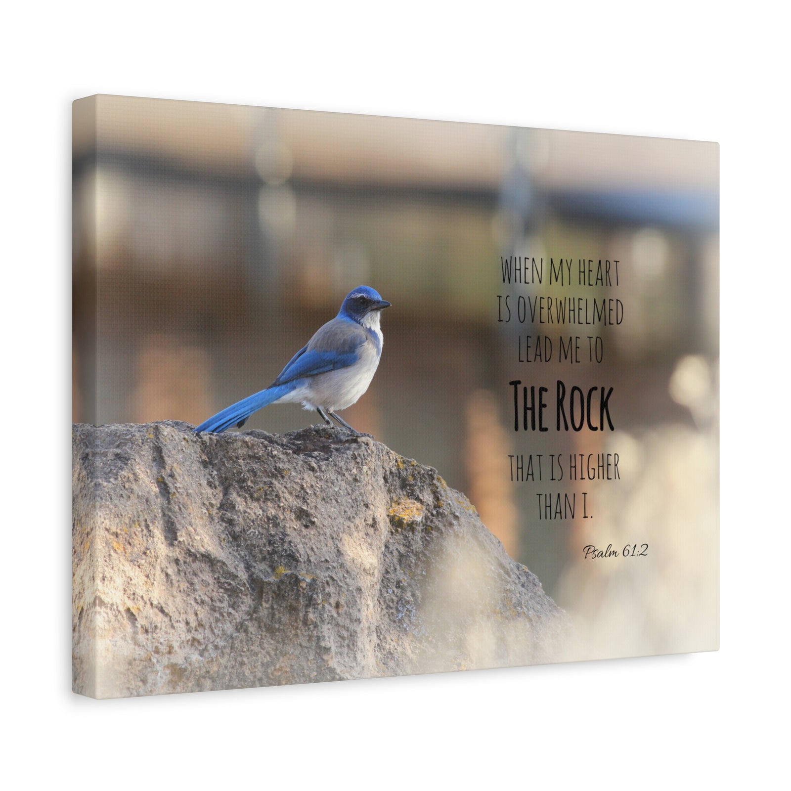 Scripture Canvas Higher Than I Psalm 61:2 Christian Wall Art Bible Verse Print Ready to Hang-Express Your Love Gifts