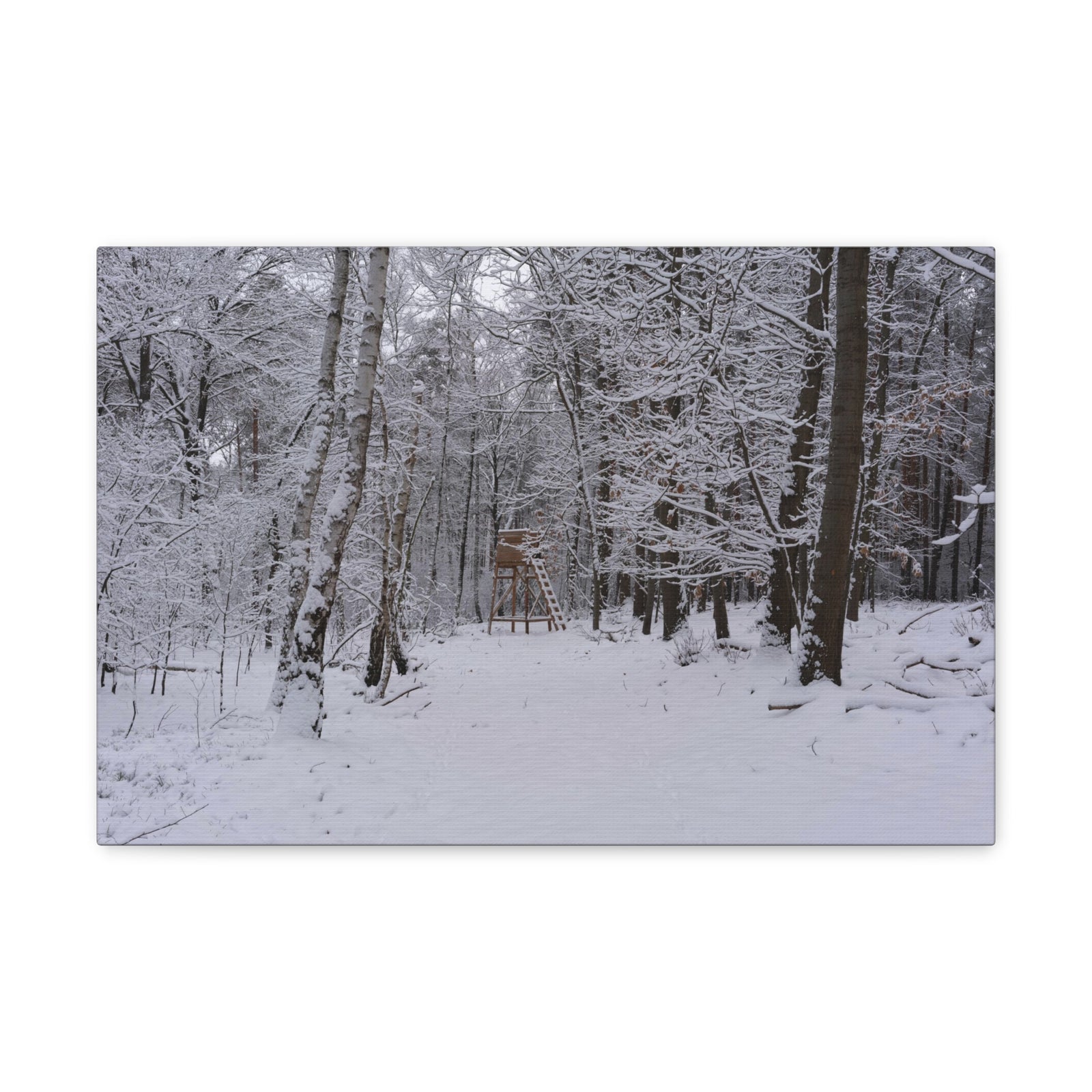 Forest Winter Tree Snow Nature Wilderness Photography Canvas Wall Art for Home Decor Ready-to-Hang-Express Your Love Gifts