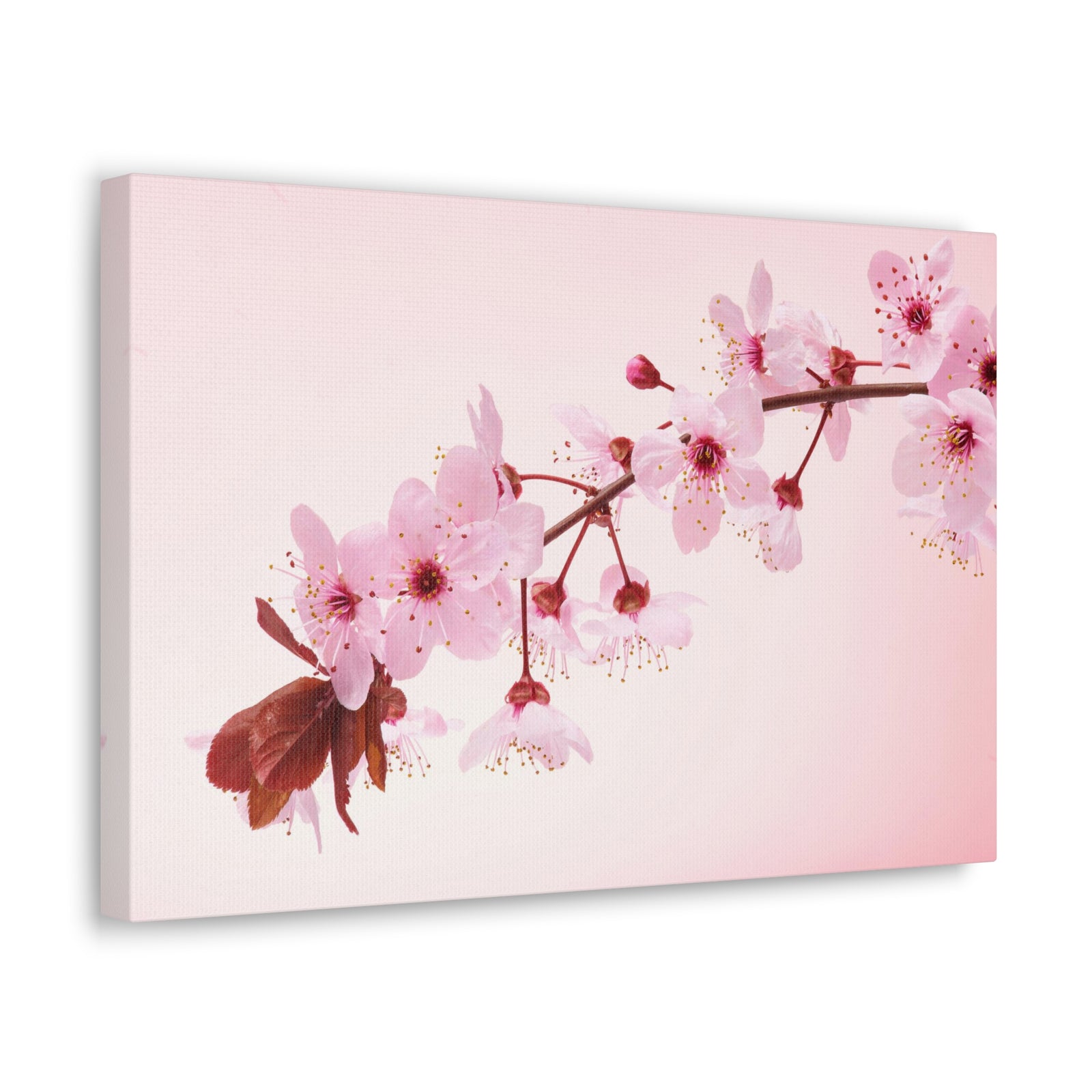 Single Cherry Blossom Forest Floral Nature Photography Canvas Wall Art for Home Decor Ready-to-Hang-Express Your Love Gifts