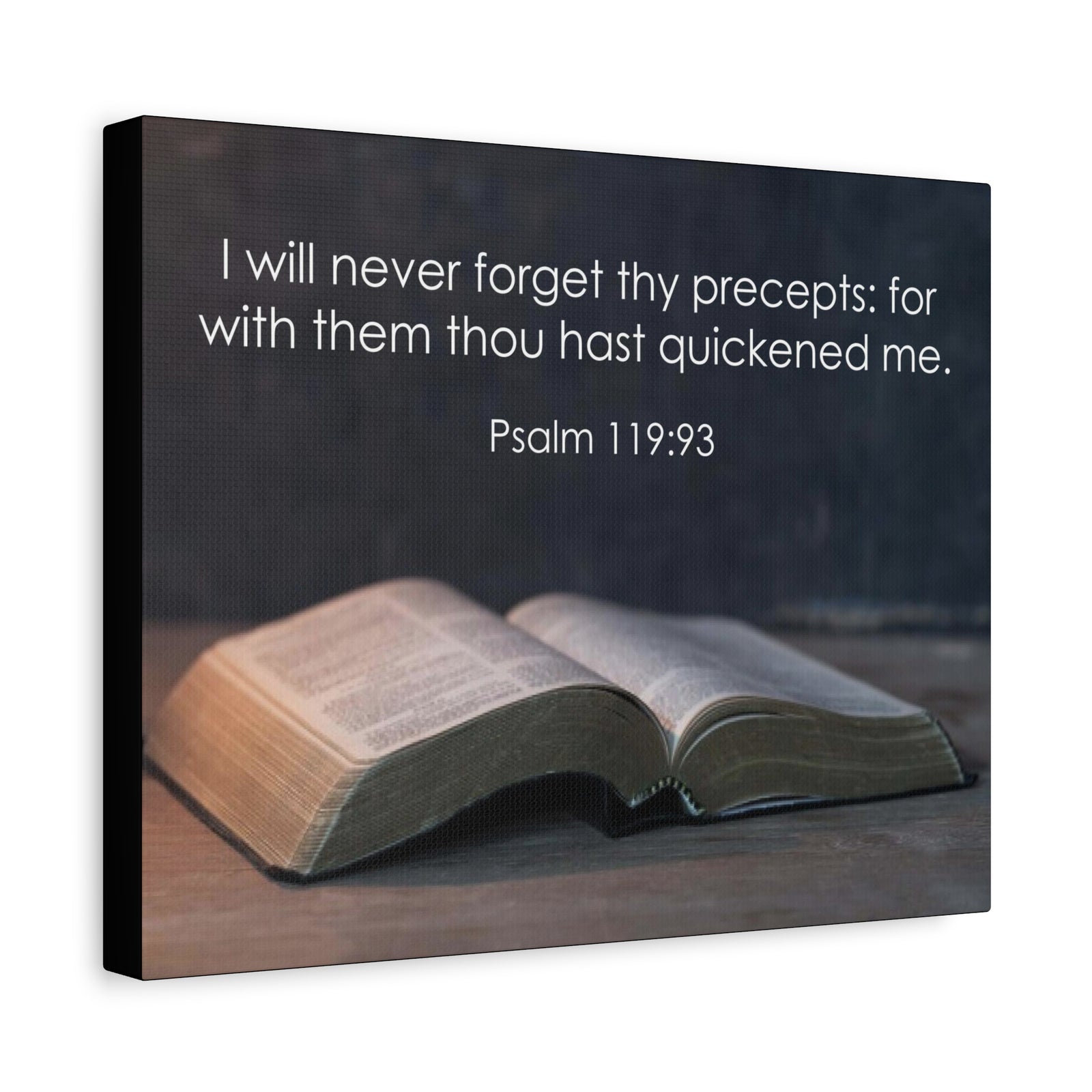 Bible Verse Canvas Never Forget Thy Precepts Psalm 119:93 Christian Home Décor Wall Art Scripture Ready to Hang Faith Print-Express Your Love Gifts