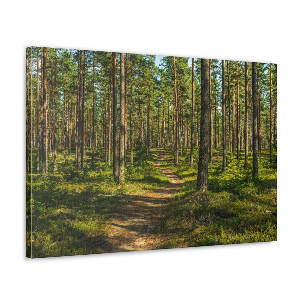 Green Forest Tree Path Nature Wilderness Photography Canvas Wall Art for Home Decor Ready-to-Hang-Express Your Love Gifts