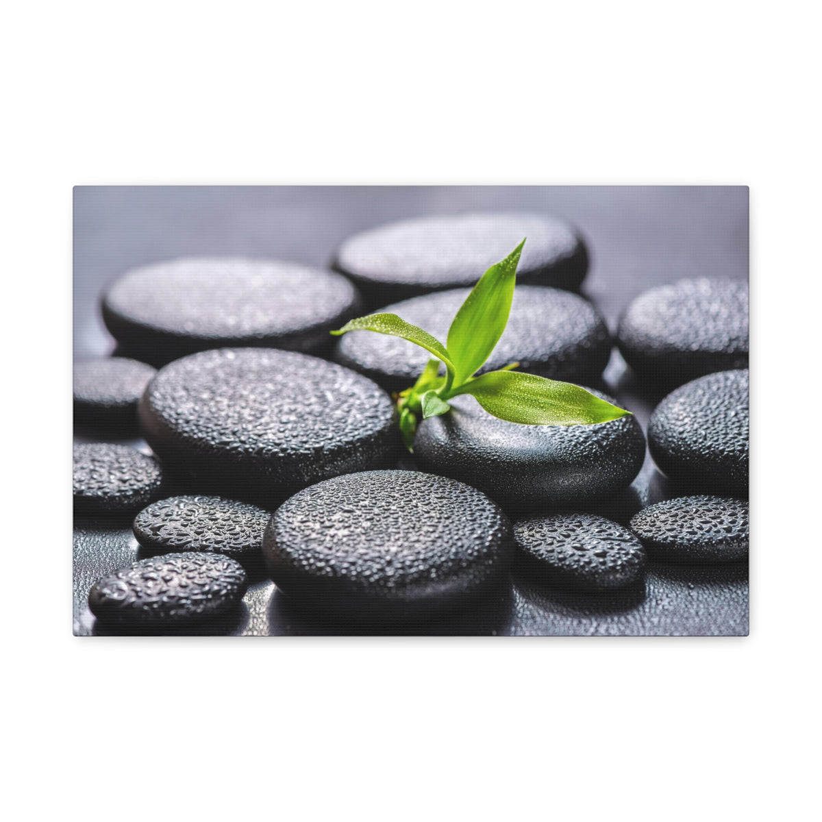 Bamboo on Zen Stones Forest Floral Nature Photography Canvas Wall Art for Home Decor Ready-to-Hang-Express Your Love Gifts