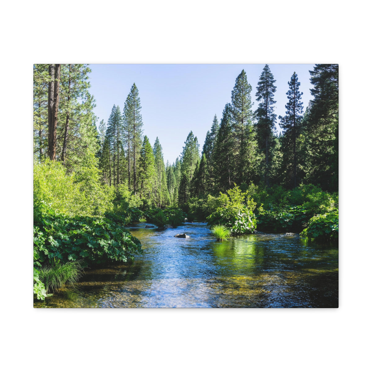 River Through The Green Forest Nature Wilderness Photography Canvas Wall Art for Home Decor Ready-to-Hang-Express Your Love Gifts