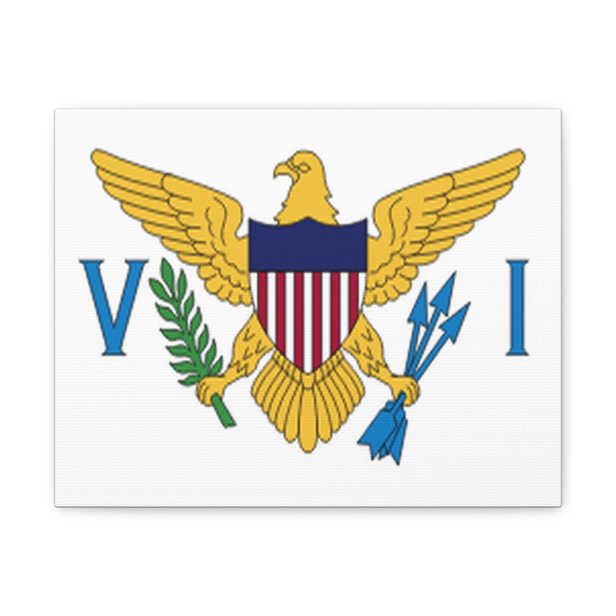 United States Virgin Islands Country Flag Canvas Vibrant Wall Art Unframed Home Decor-Express Your Love Gifts