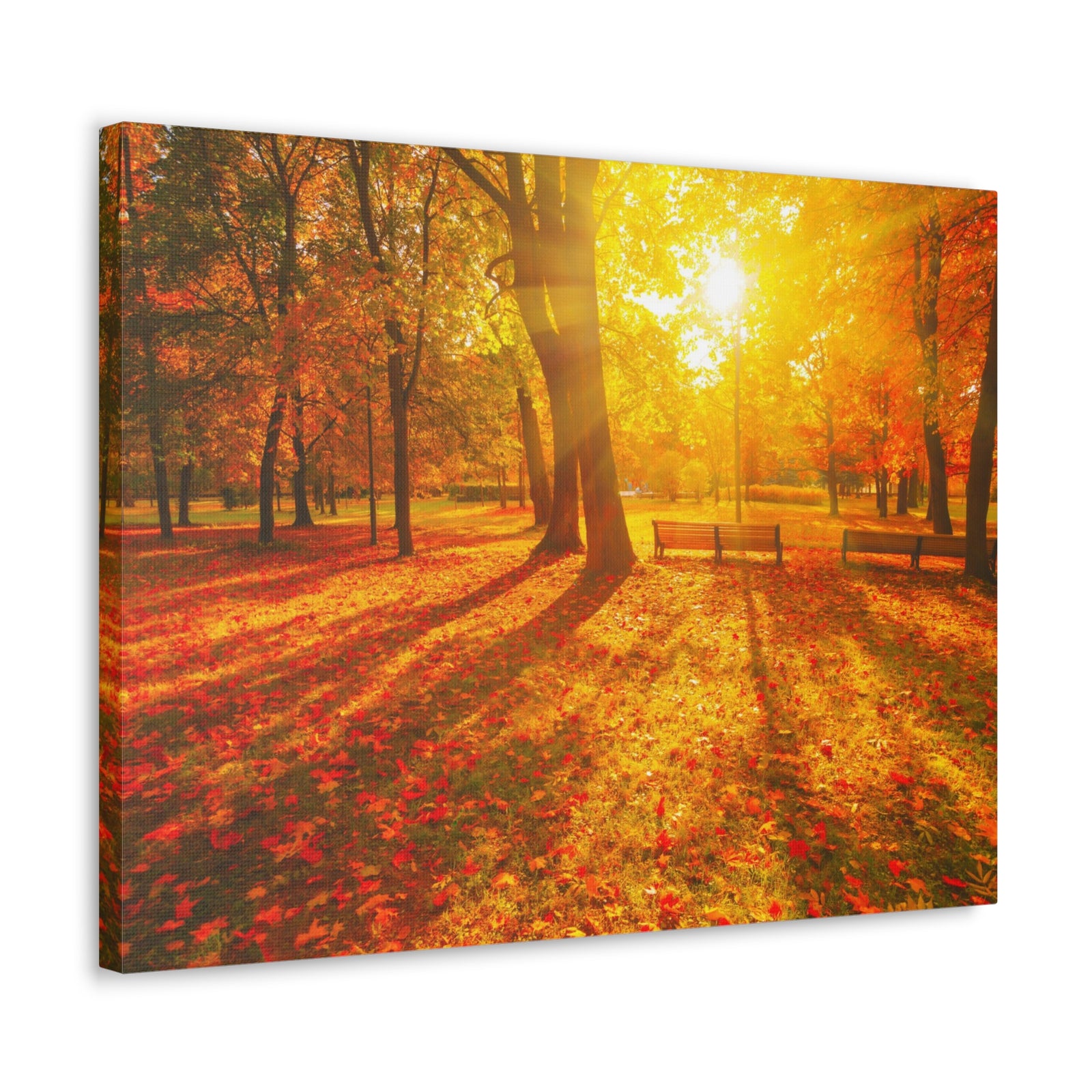 Sunrise Autumn Park Nature Wilderness Photography Canvas Wall Art for Home Decor Ready-to-Hang-Express Your Love Gifts