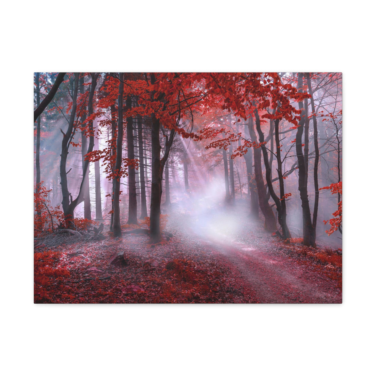 Foggy Autumn Forest Orange Leaves Nature Wilderness Photography Canvas Wall Art for Home Decor Ready-to-Hang-Express Your Love Gifts