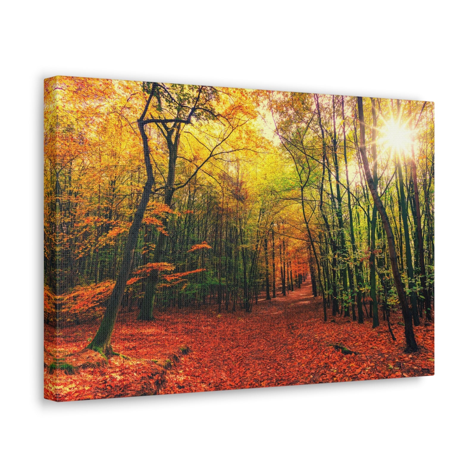 Autumn Forest is Beautiful Forest Floral Nature Photography Canvas Wall Art for Home Decor Ready-to-Hang-Express Your Love Gifts