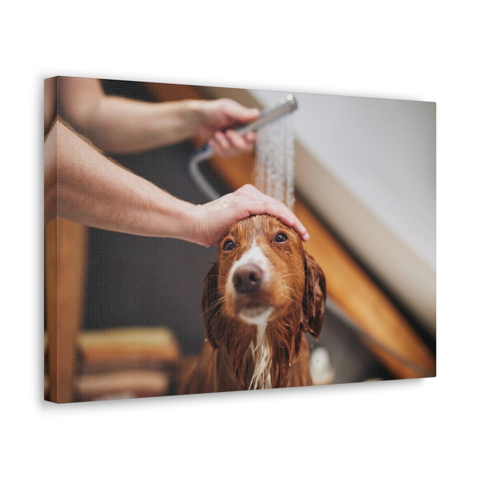Cute Tolling Retriever Bath Canvas Wall Art for Home Decor Ready-to-Hang-Express Your Love Gifts