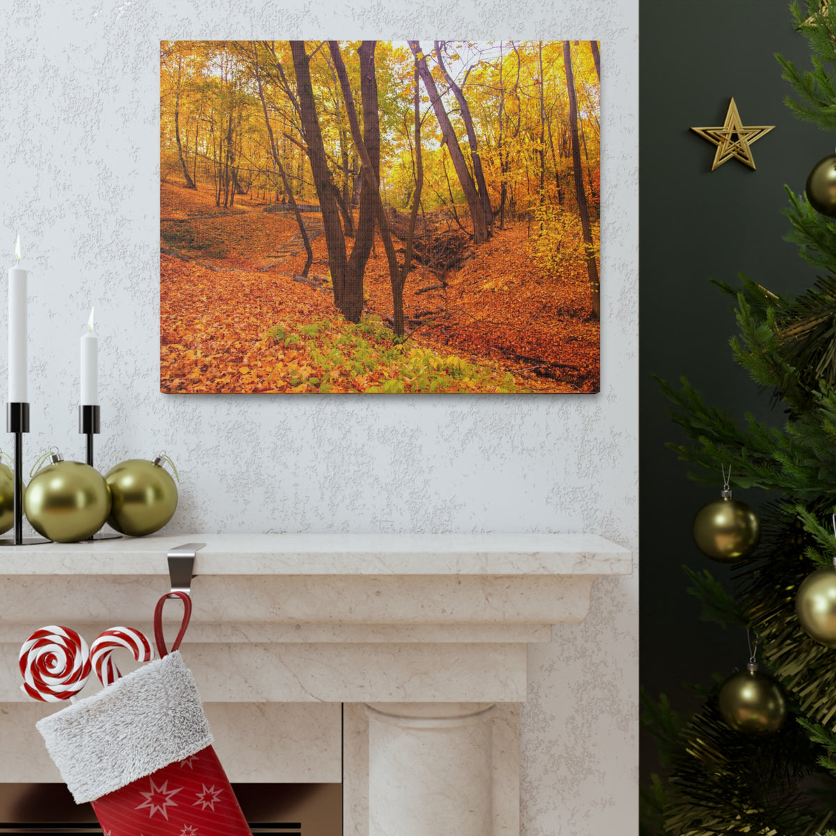 Fall Orange Tree Forest Nature Wilderness Photography Canvas Wall Art for Home Decor Ready-to-Hang-Express Your Love Gifts