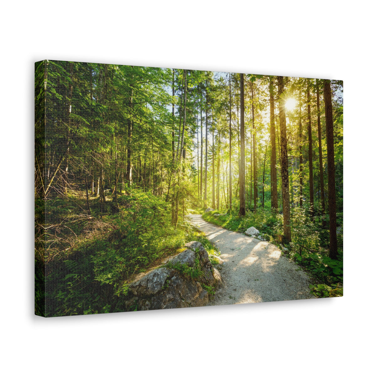 Sunlight Passing Through Green Forest Path Nature Wilderness Photography Canvas Wall Art for Home Decor Ready-to-Hang-Express Your Love Gifts