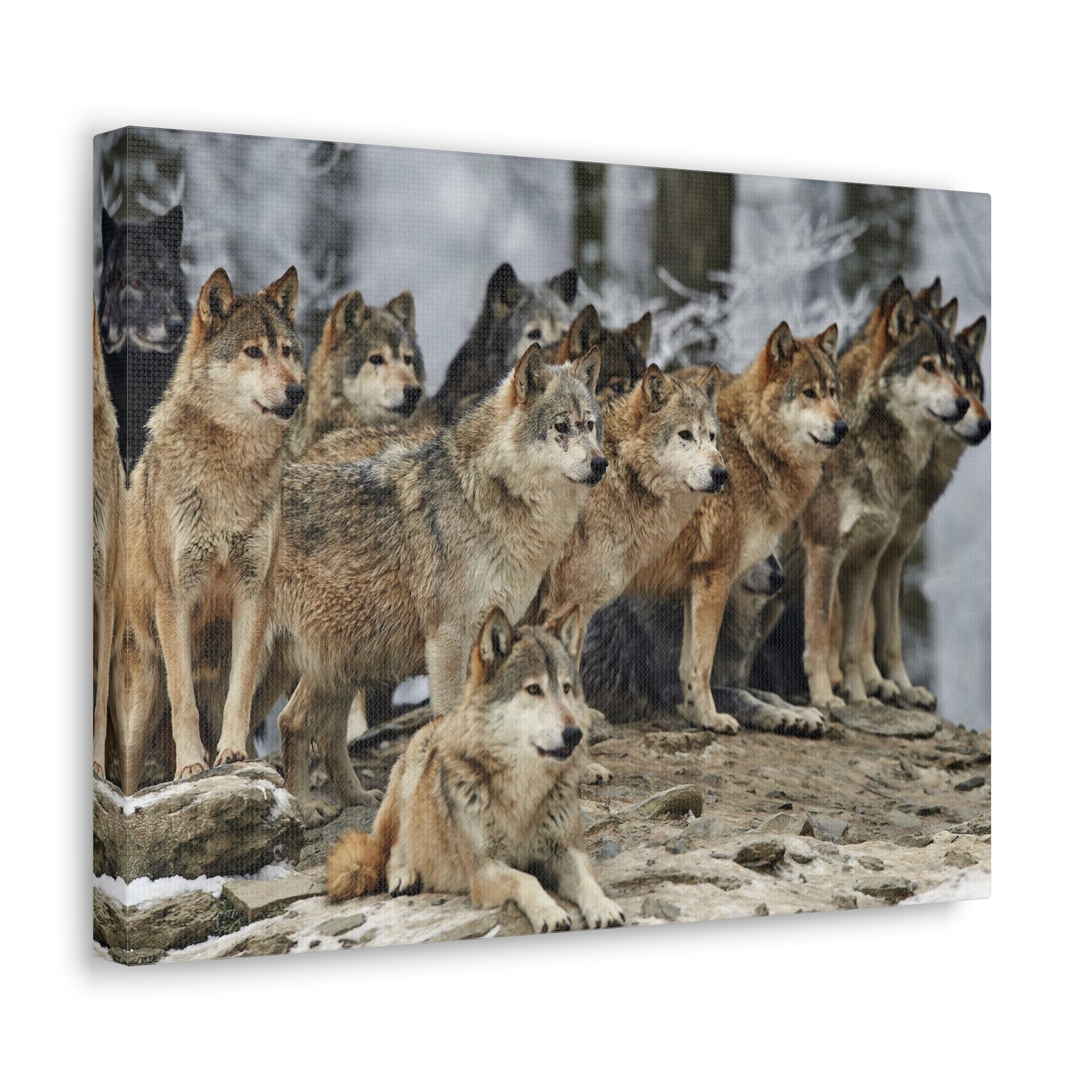 Wolf Pack Ready To Hang Stretched Canvas Wall Art-Express Your Love Gifts