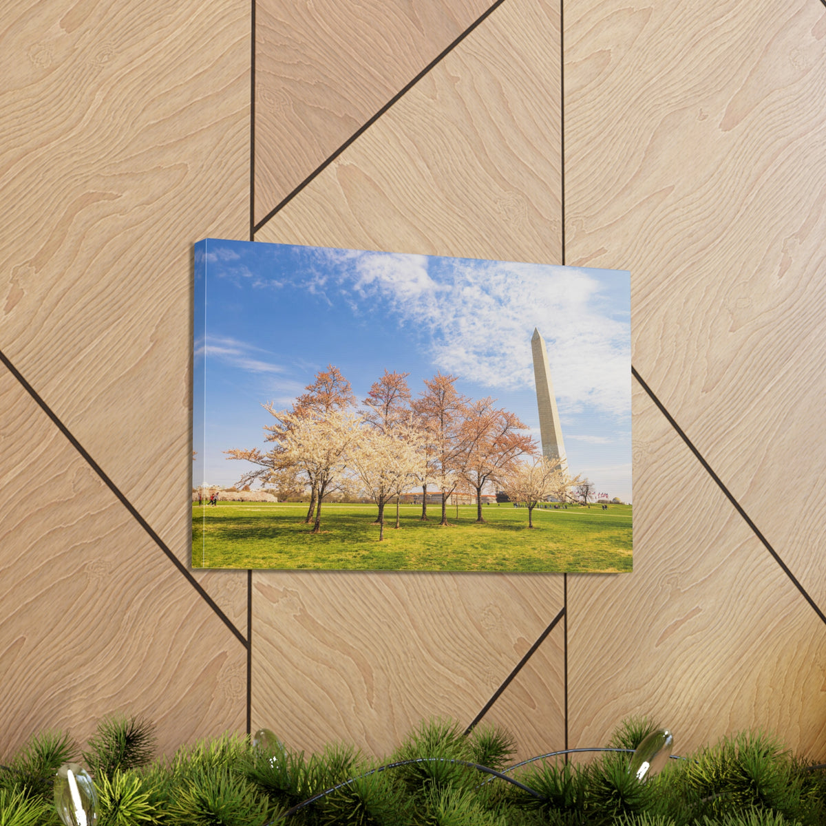 Pink Tree Cherry Blossom Festival at The National Mall Washington Modern Multicolor Scenic Nature Photography Canvas Home Office Decor Ready to Hang-Express Your Love Gifts