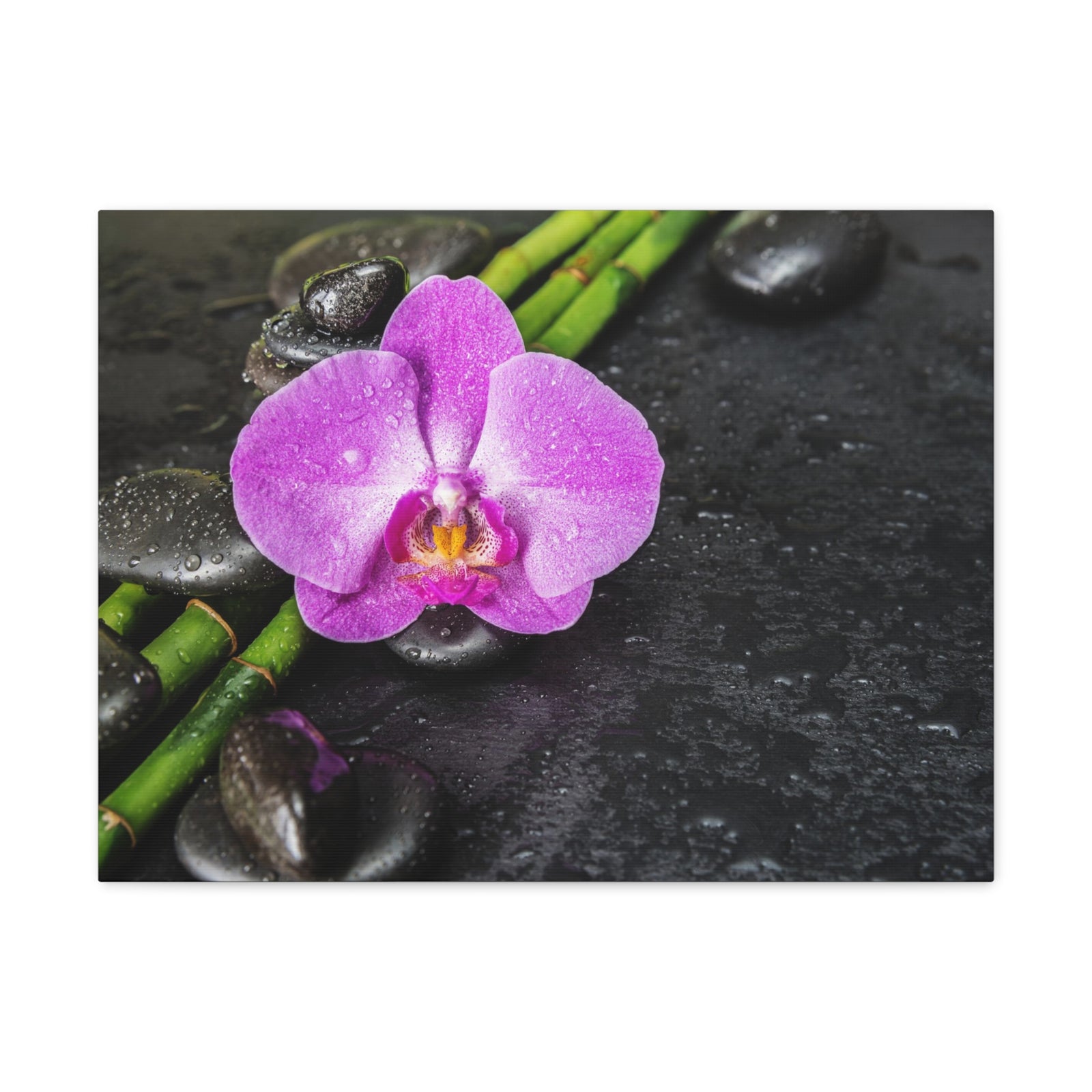 Pink Orchid and Stone Forest Floral Nature Photography Canvas Wall Art for Home Decor Ready-to-Hang-Express Your Love Gifts