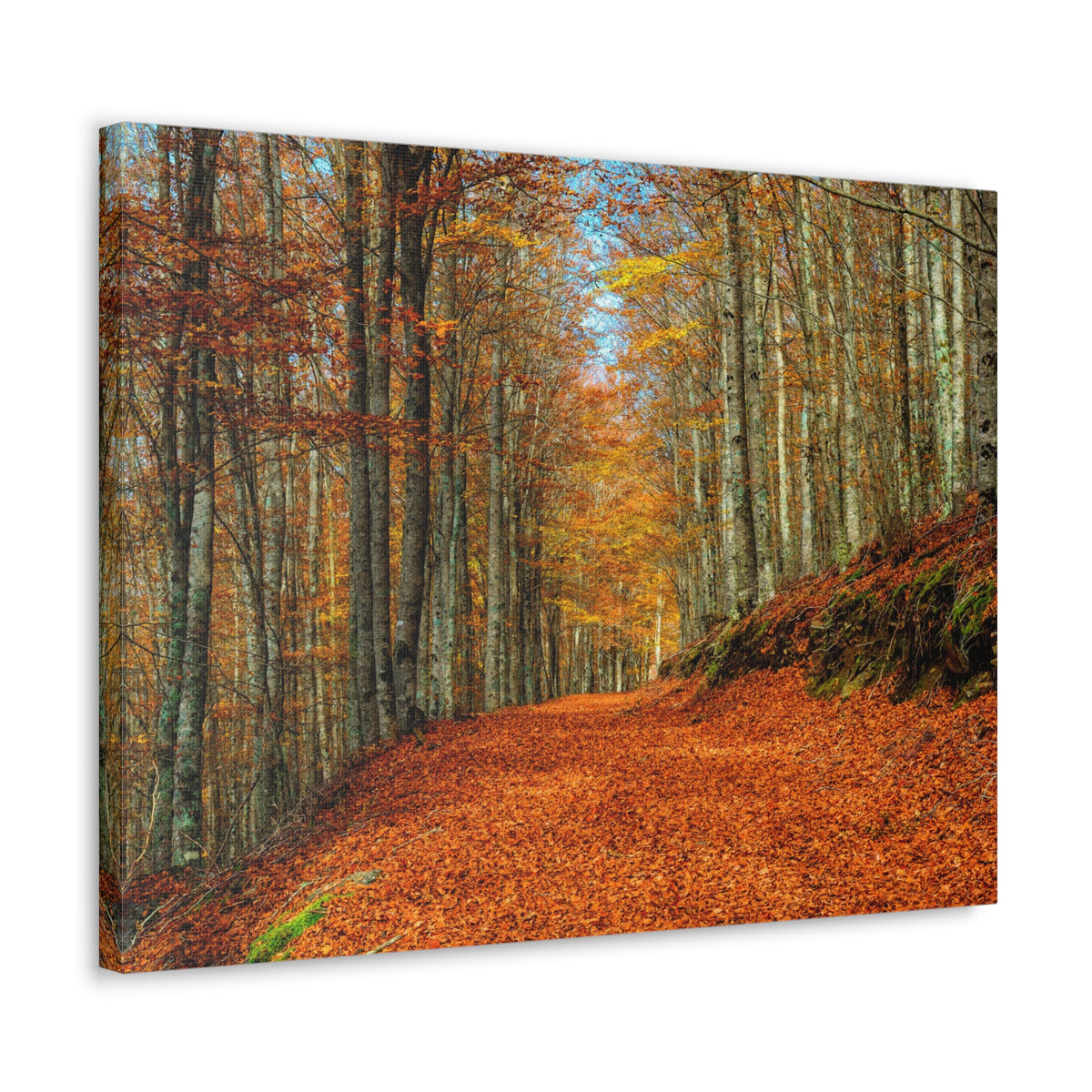 Path Through Red & Orange Autumn Park Nature Wilderness Photography Canvas Wall Art for Home Decor Ready-to-Hang-Express Your Love Gifts