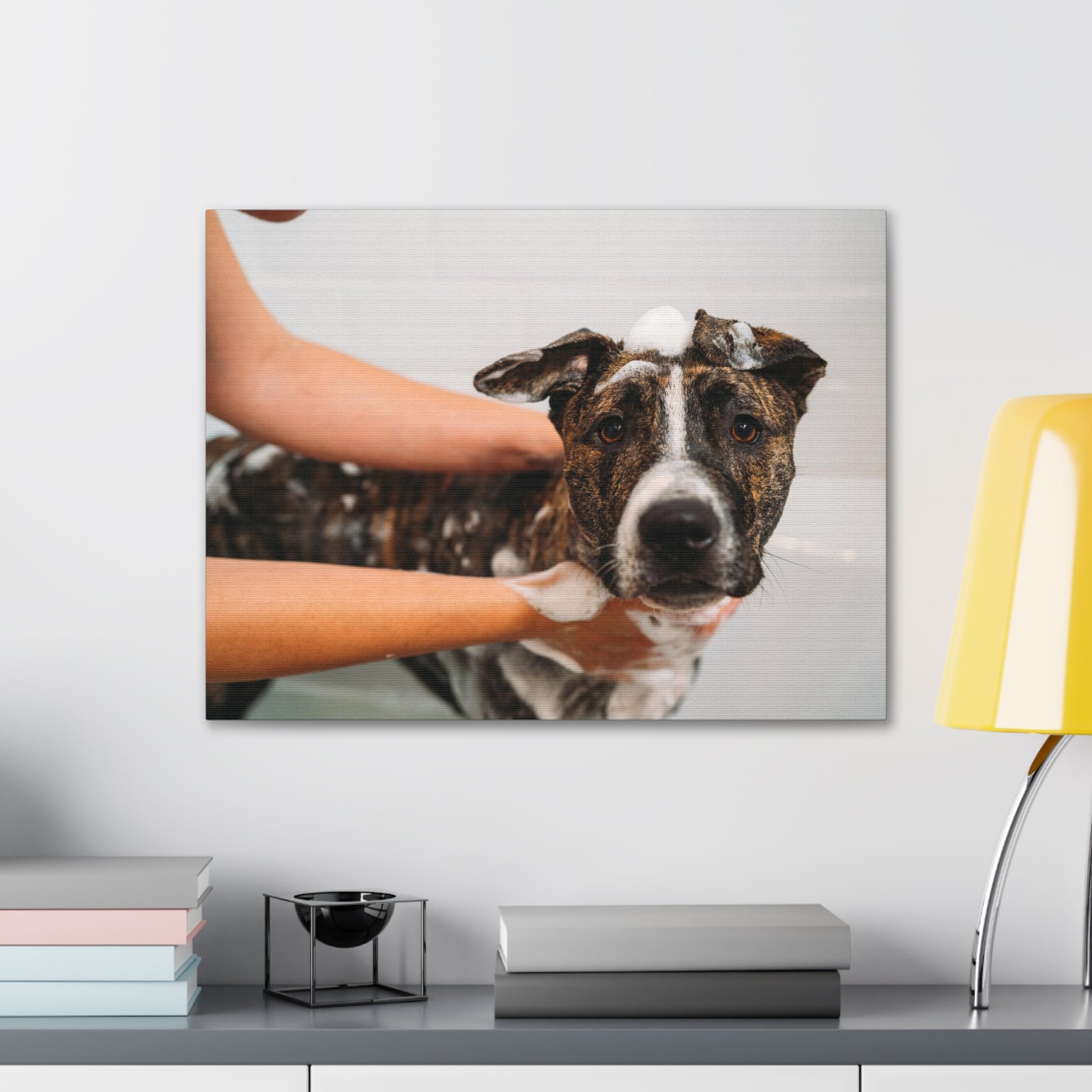 Cute American Staffordshire Terrier Bathee Canvas Wall Art for Home Decor Ready-to-Hang-Express Your Love Gifts
