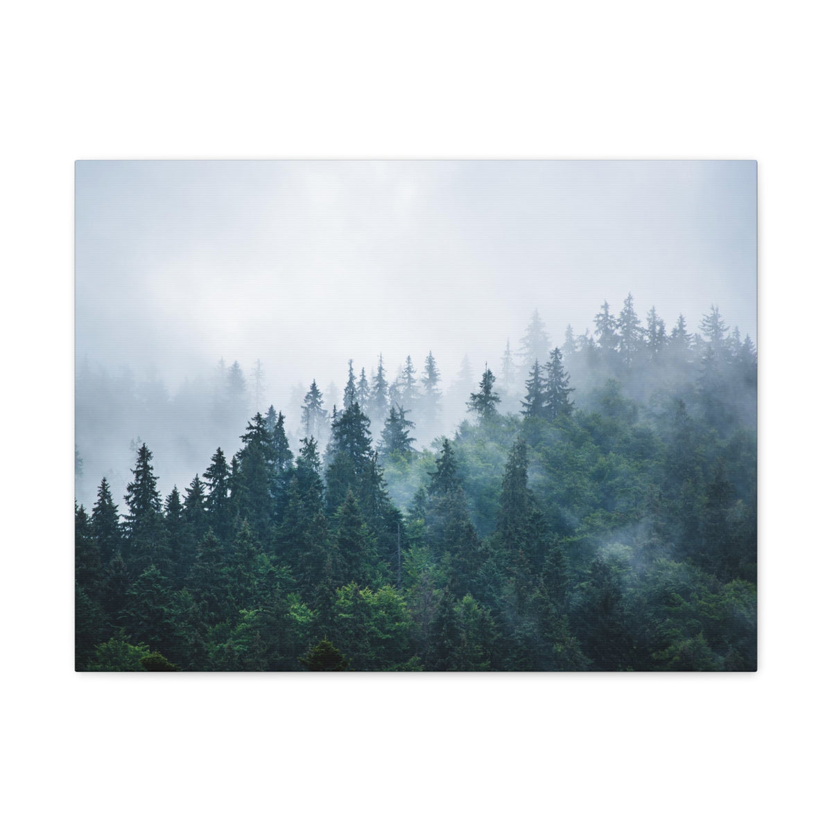 Misty Dark Mountain Forest Nature Wilderness Photography Canvas Wall Art for Home Decor Ready-to-Hang-Express Your Love Gifts