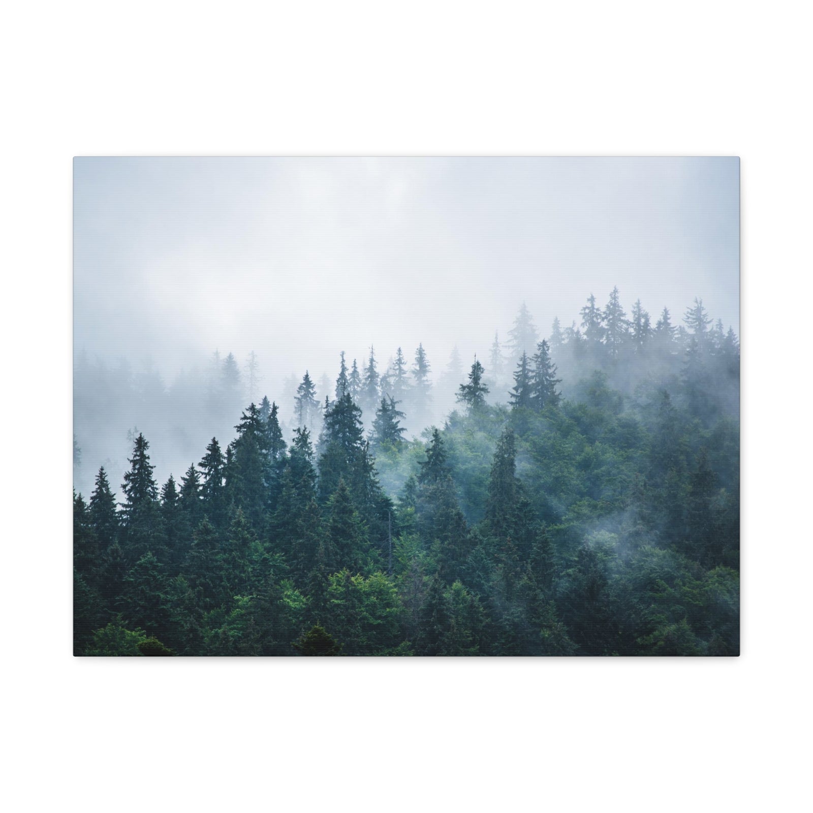 Misty Dark Mountain Forest Nature Wilderness Photography Canvas Wall Art for Home Decor Ready-to-Hang-Express Your Love Gifts