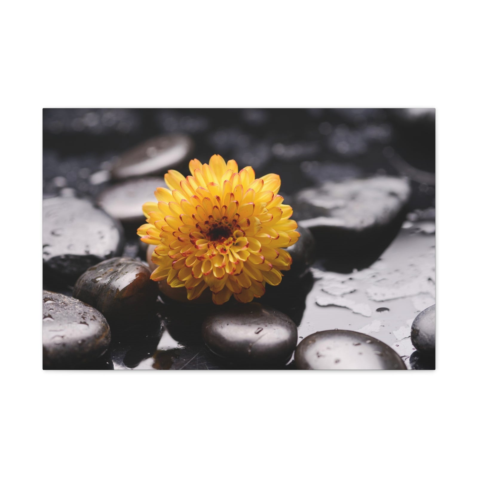 Macro of Yellow Flower Forest Floral Nature Photography Canvas Wall Art for Home Decor Ready-to-Hang-Express Your Love Gifts