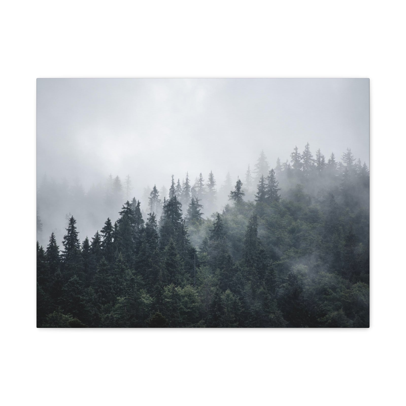Foggy Pine Tree Green Forest Nature Wilderness Photography Canvas Wall Art for Home Decor Ready-to-Hang-Express Your Love Gifts