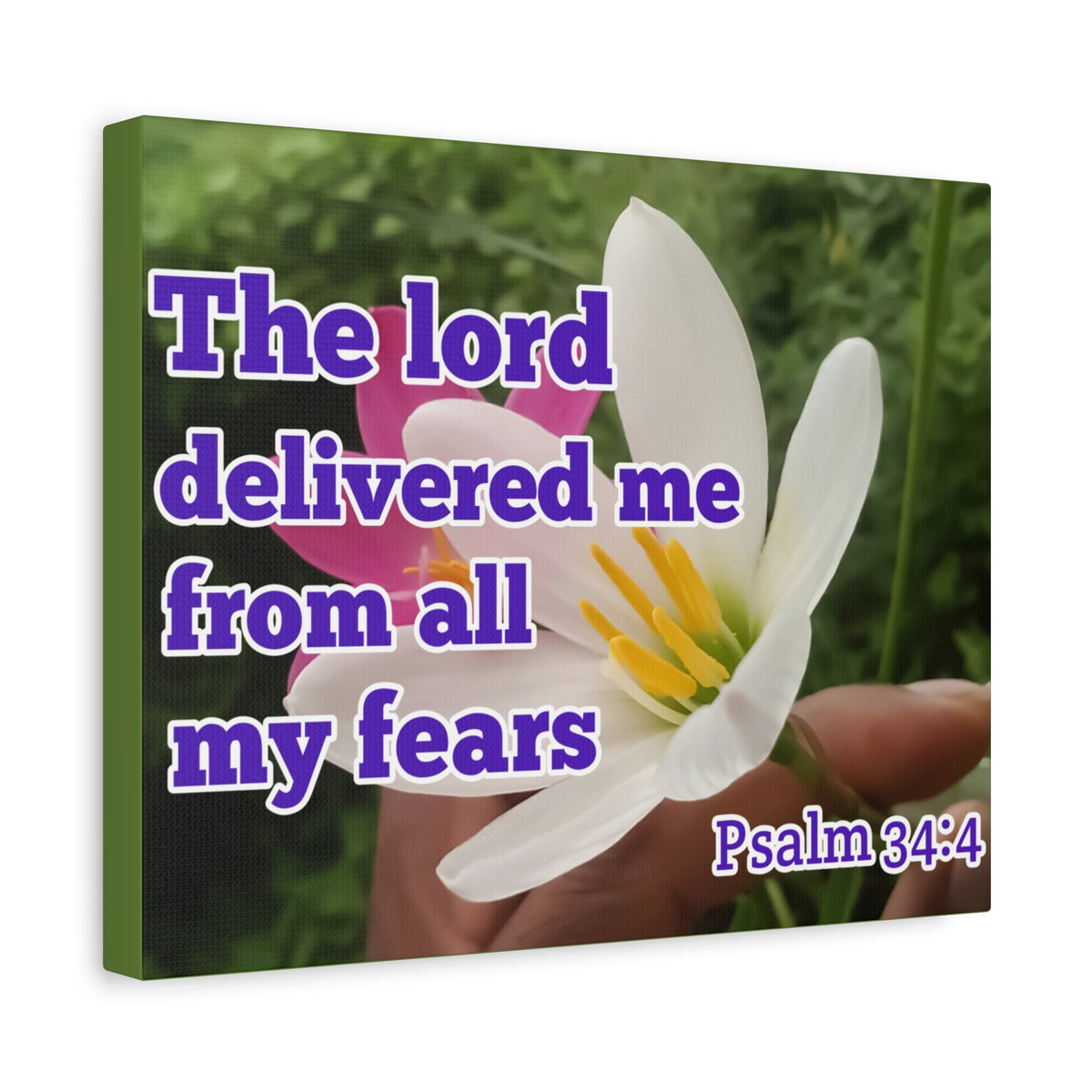 Scripture Walls The Lord Delivered Me Psalm 34:4 Bible Verse Canvas Christian Wall Art Ready to Hang-Express Your Love Gifts