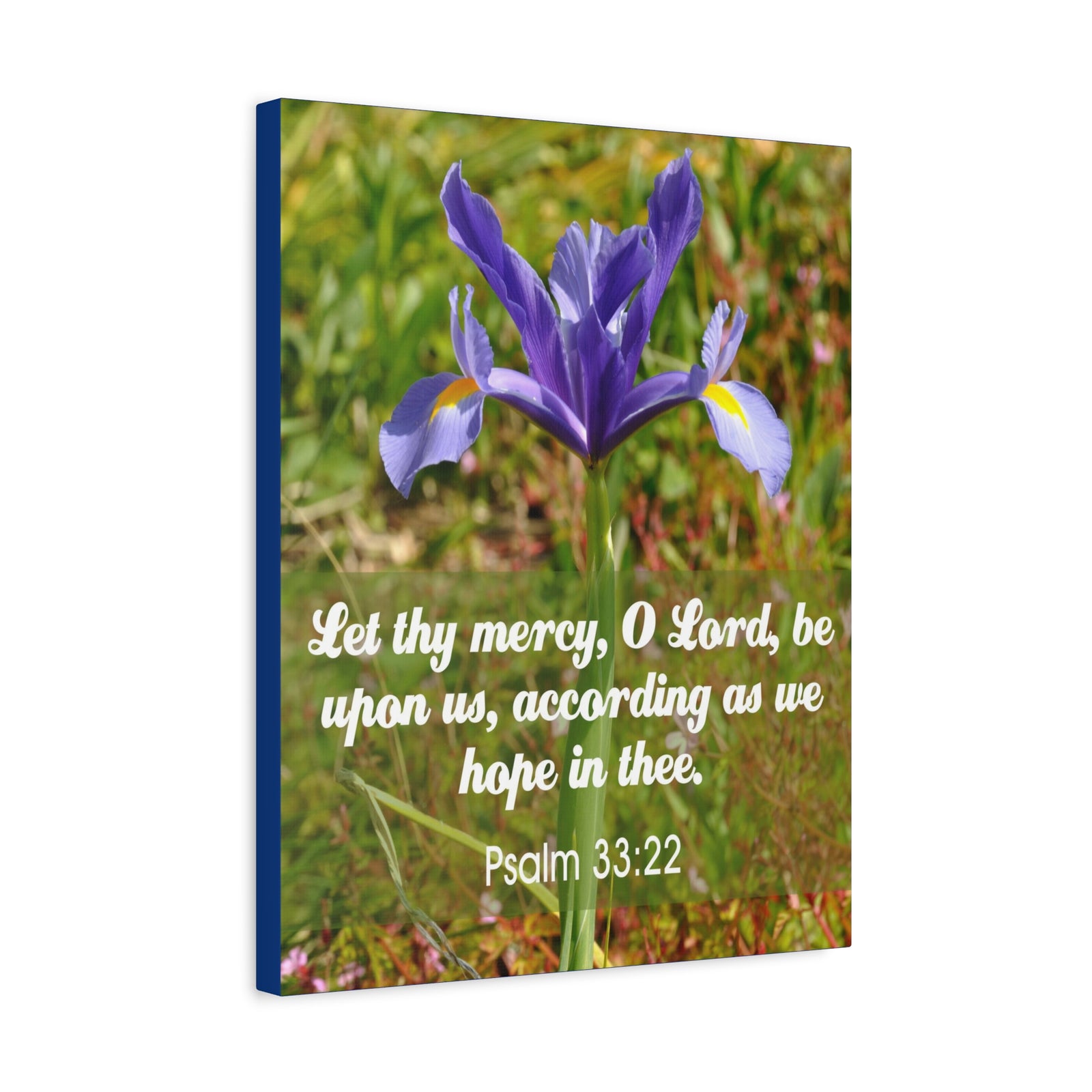 Scripture Walls Hope In Thee Psalm 33:22 Bible Verse Canvas Christian Wall Art Ready to Hang-Express Your Love Gifts