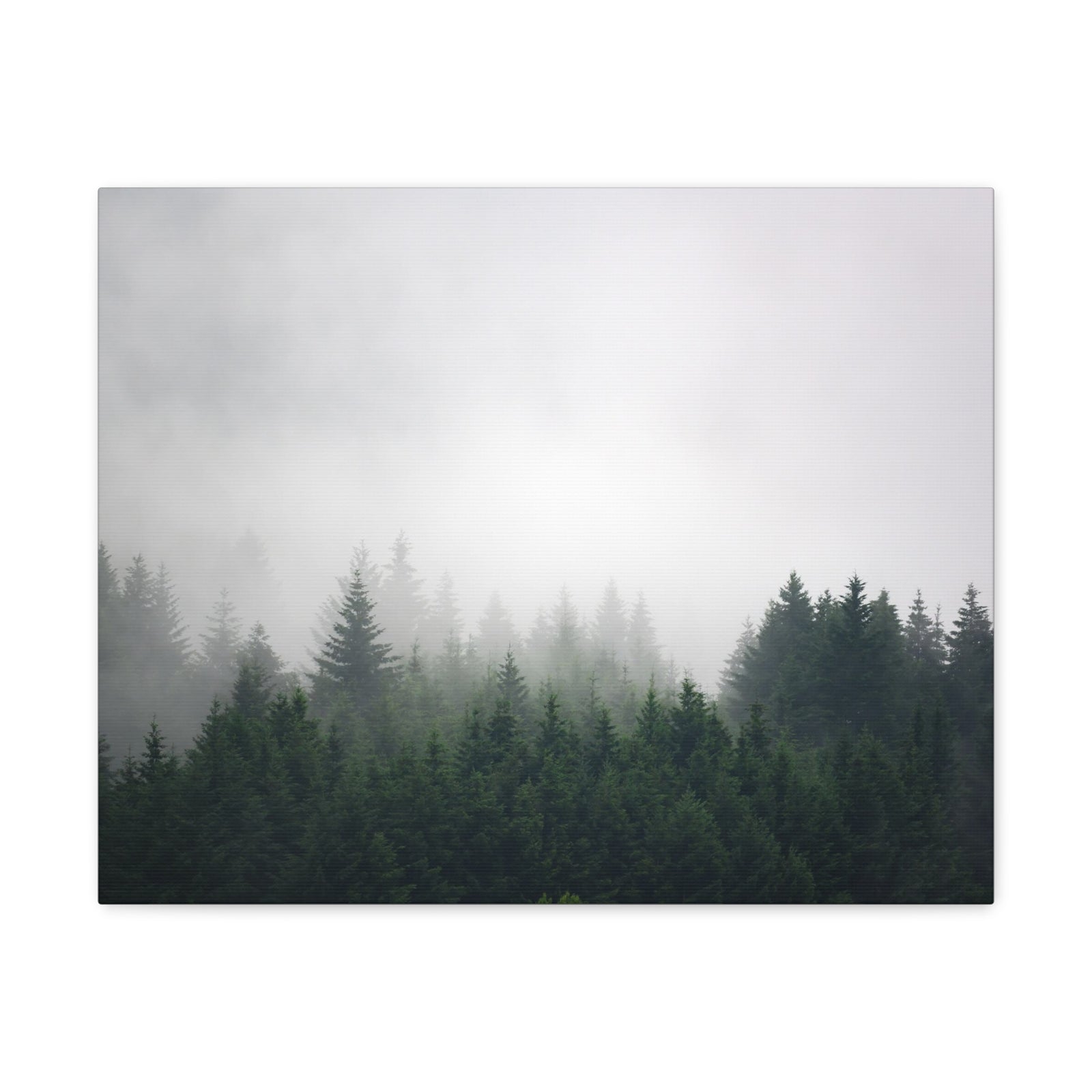 Foggy Dark Forest Nature Wilderness Photography Canvas Wall Art for Home Decor Ready-to-Hang-Express Your Love Gifts