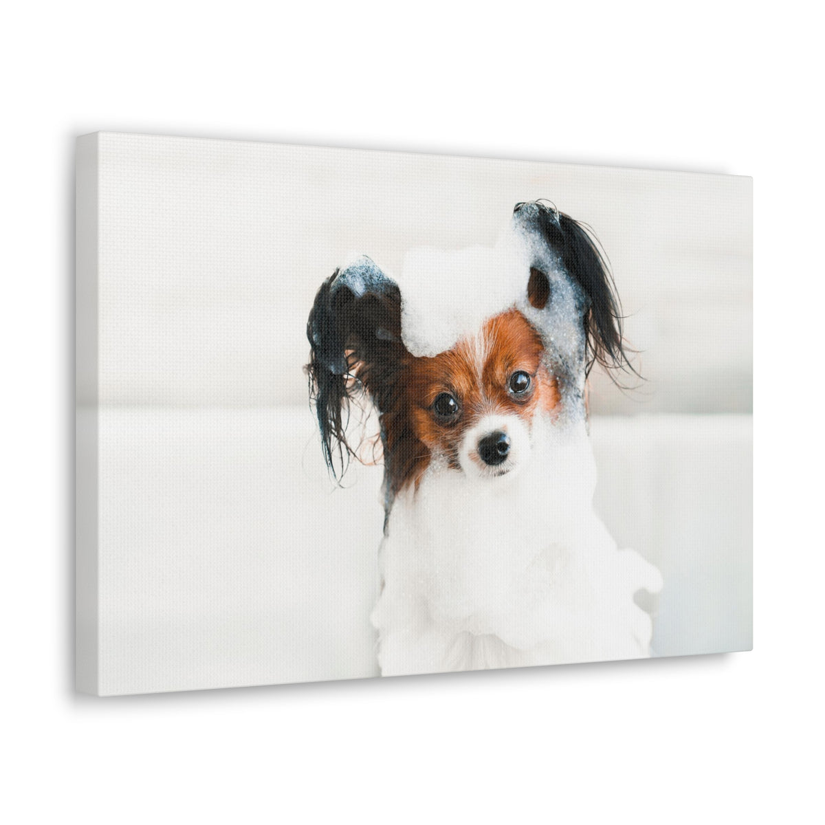 Cute Papillon Bath Canvas Wall Art for Home Decor Ready-to-Hang-Express Your Love Gifts