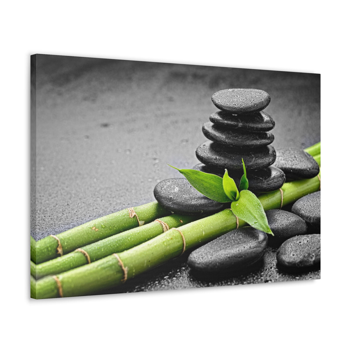 Bamboo on the Black Forest Floral Nature Photography Canvas Wall Art for Home Decor Ready-to-Hang-Express Your Love Gifts