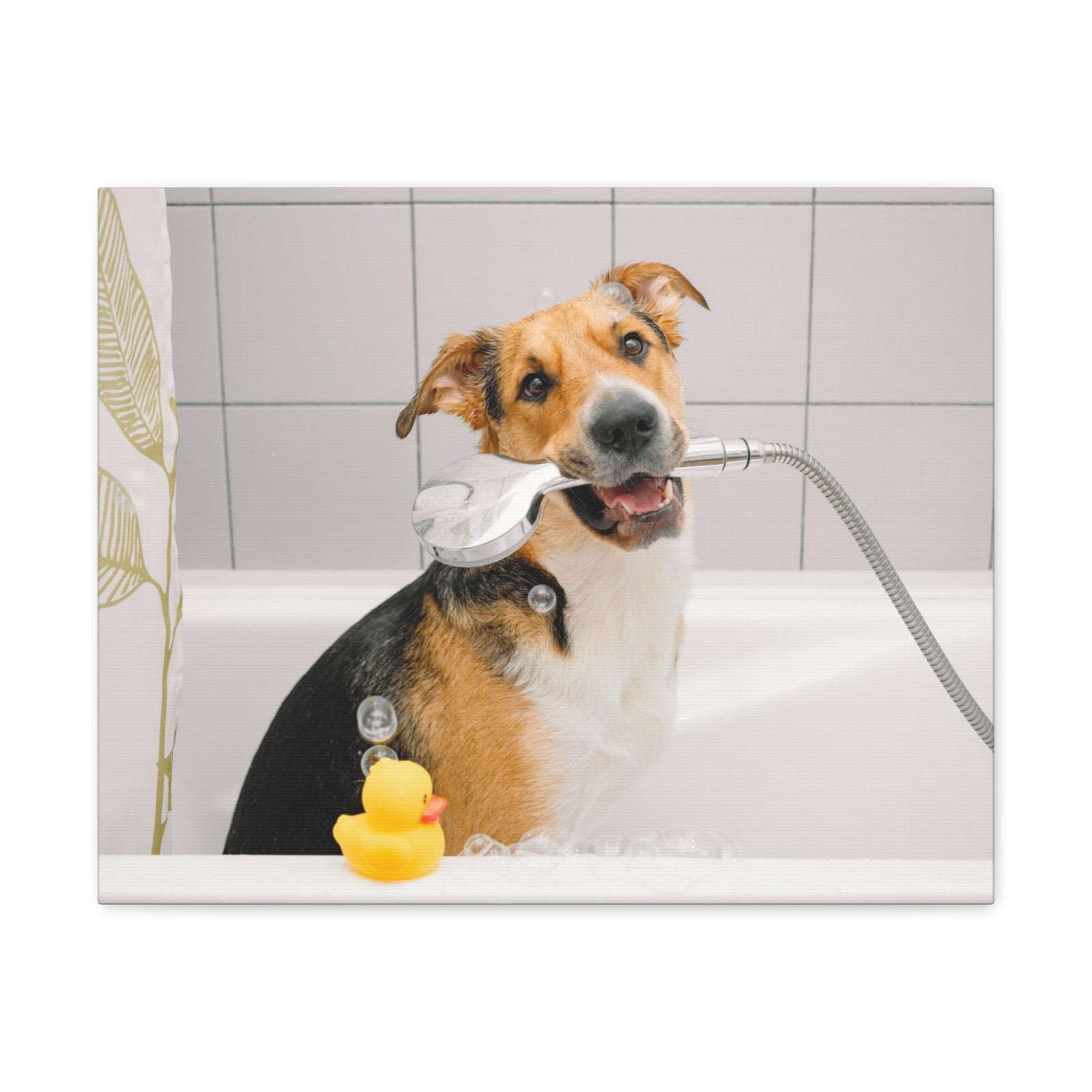 Cute Mongrel Bath Canvas Wall Art for Home Decor Ready-to-Hang-Express Your Love Gifts