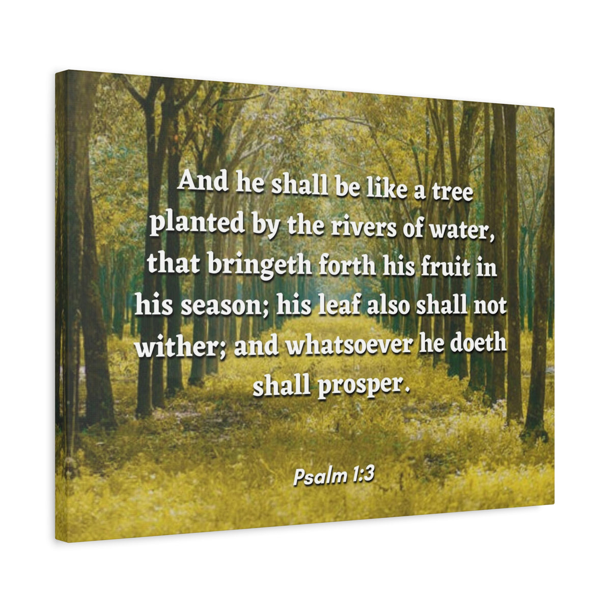 Scripture Canvas Shall Prosper Psalms 1:3 Christian Wall Art Bible Verse Print Ready to Hang-Express Your Love Gifts