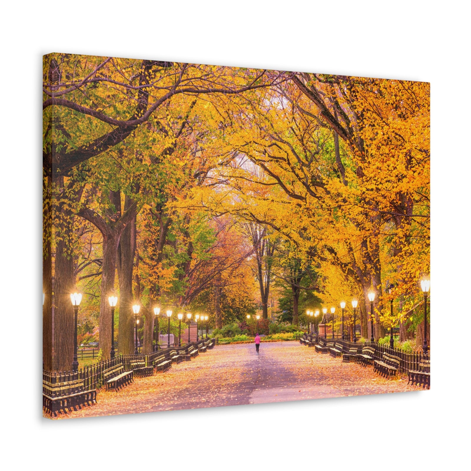 Orange Tree Autumn Park Nature Wilderness Photography Canvas Wall Art for Home Decor Ready-to-Hang-Express Your Love Gifts