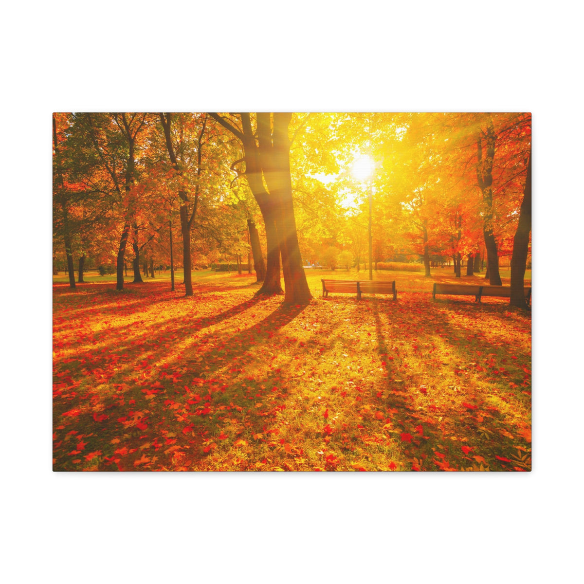 Sunrise Autumn Park Nature Wilderness Photography Canvas Wall Art for Home Decor Ready-to-Hang-Express Your Love Gifts
