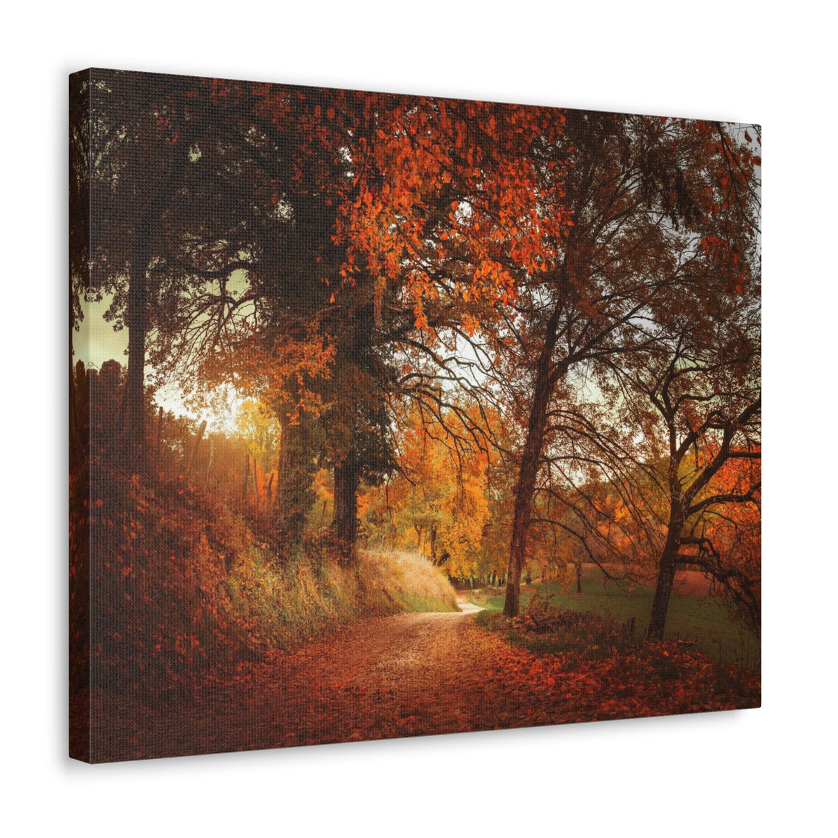 Autumn Park Orange Tree Nature Wilderness Photography Canvas Wall Art for Home Decor Ready-to-Hang-Express Your Love Gifts